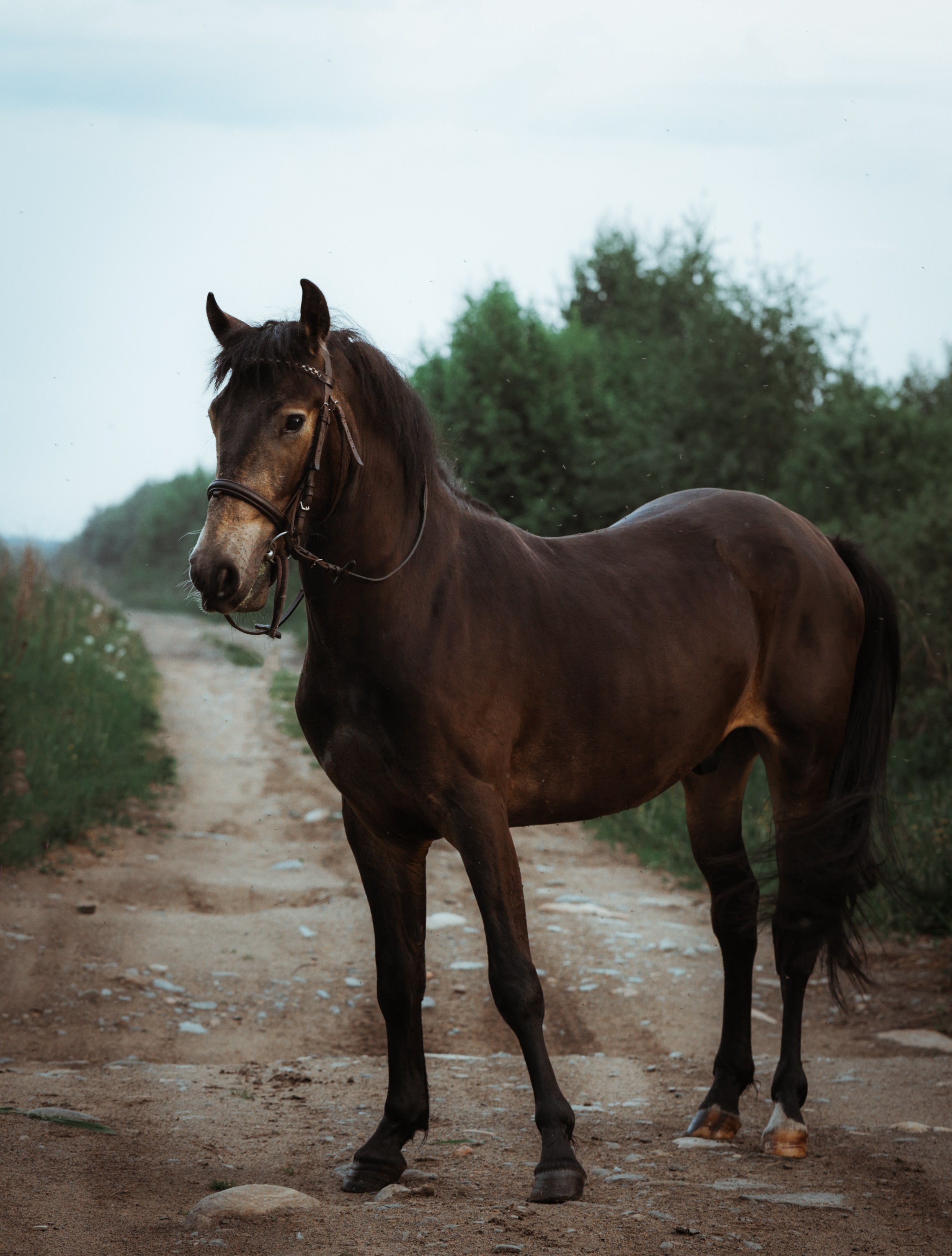 Туман. Фотограф Варвара Ермоленко