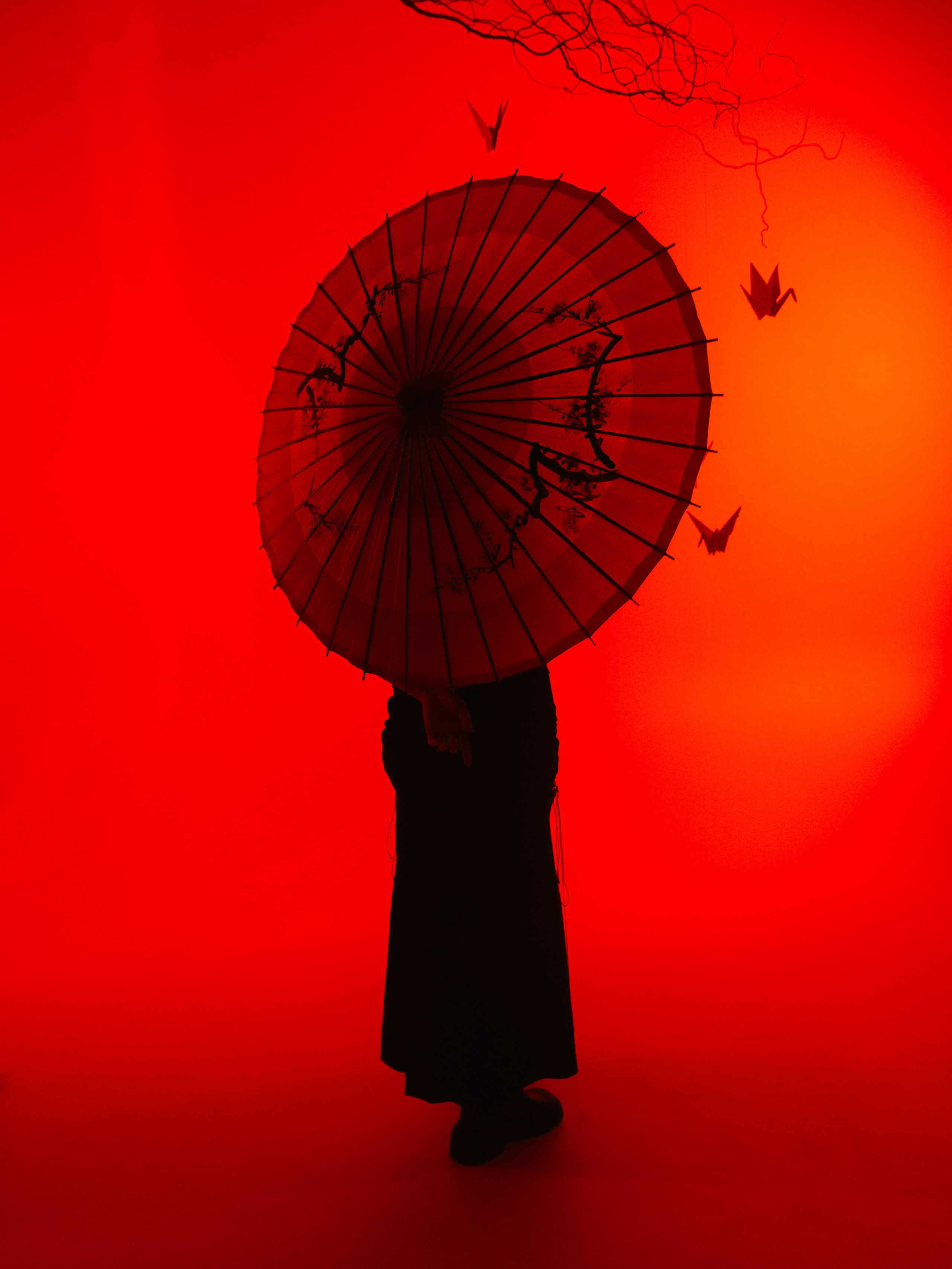 «Тени Киото»