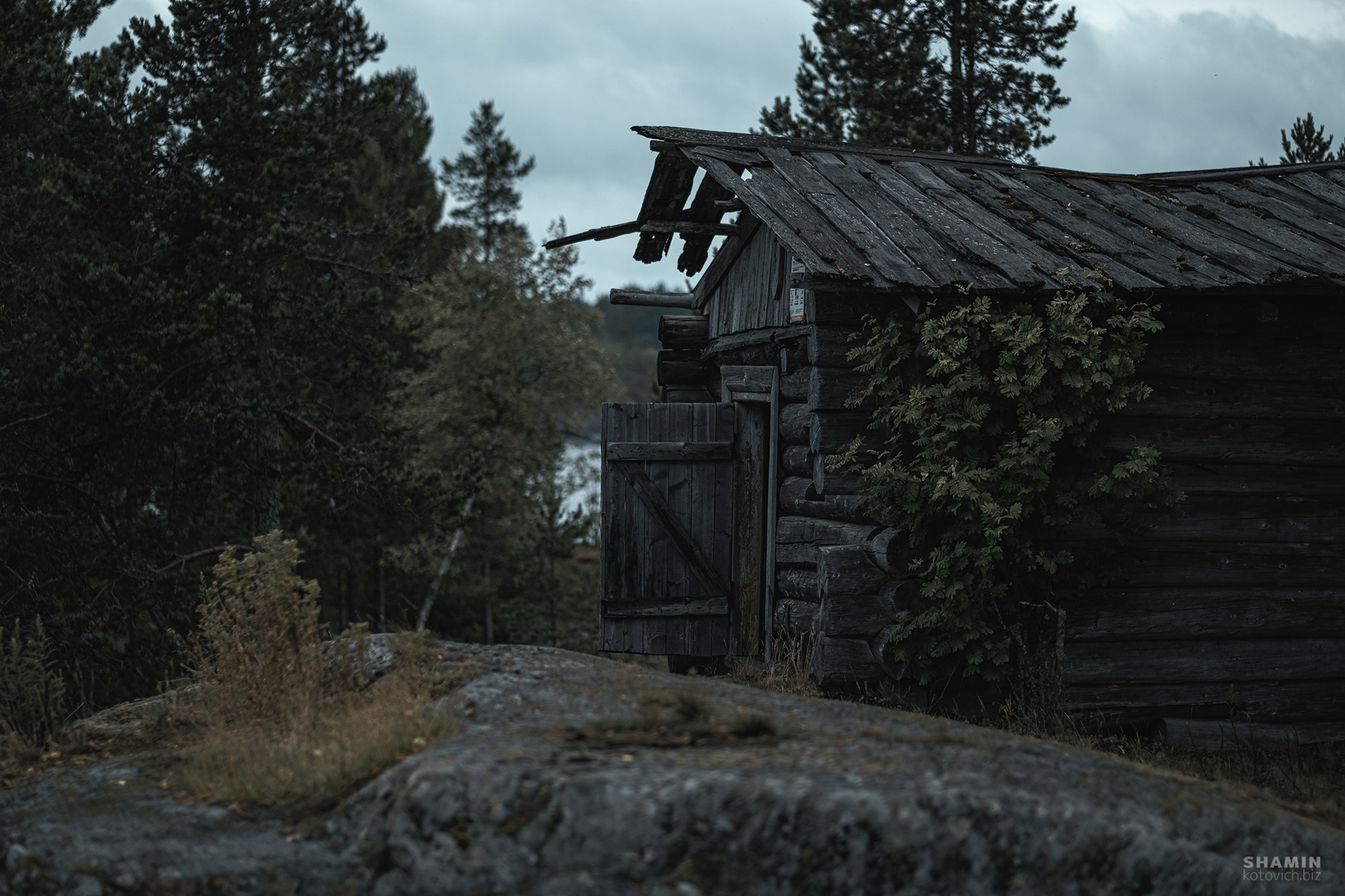 Отшельник. Фотограф Константин Шамин