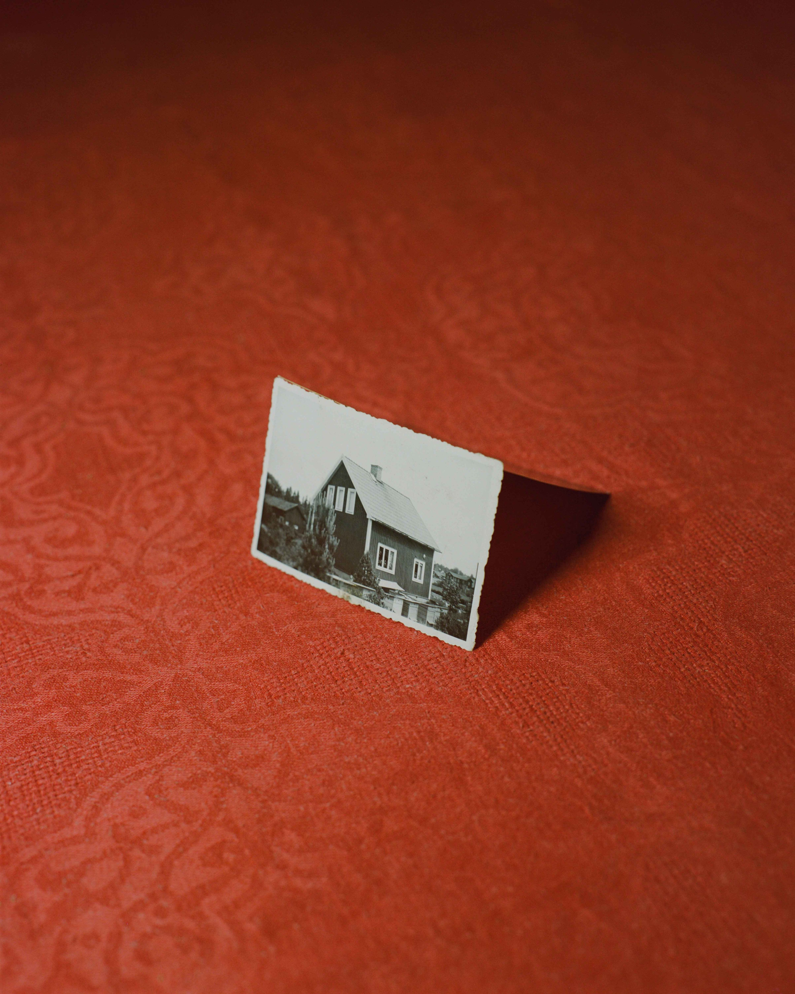 Проект «Wander Lines» Тевы Косич (Teva Cosic). Private image