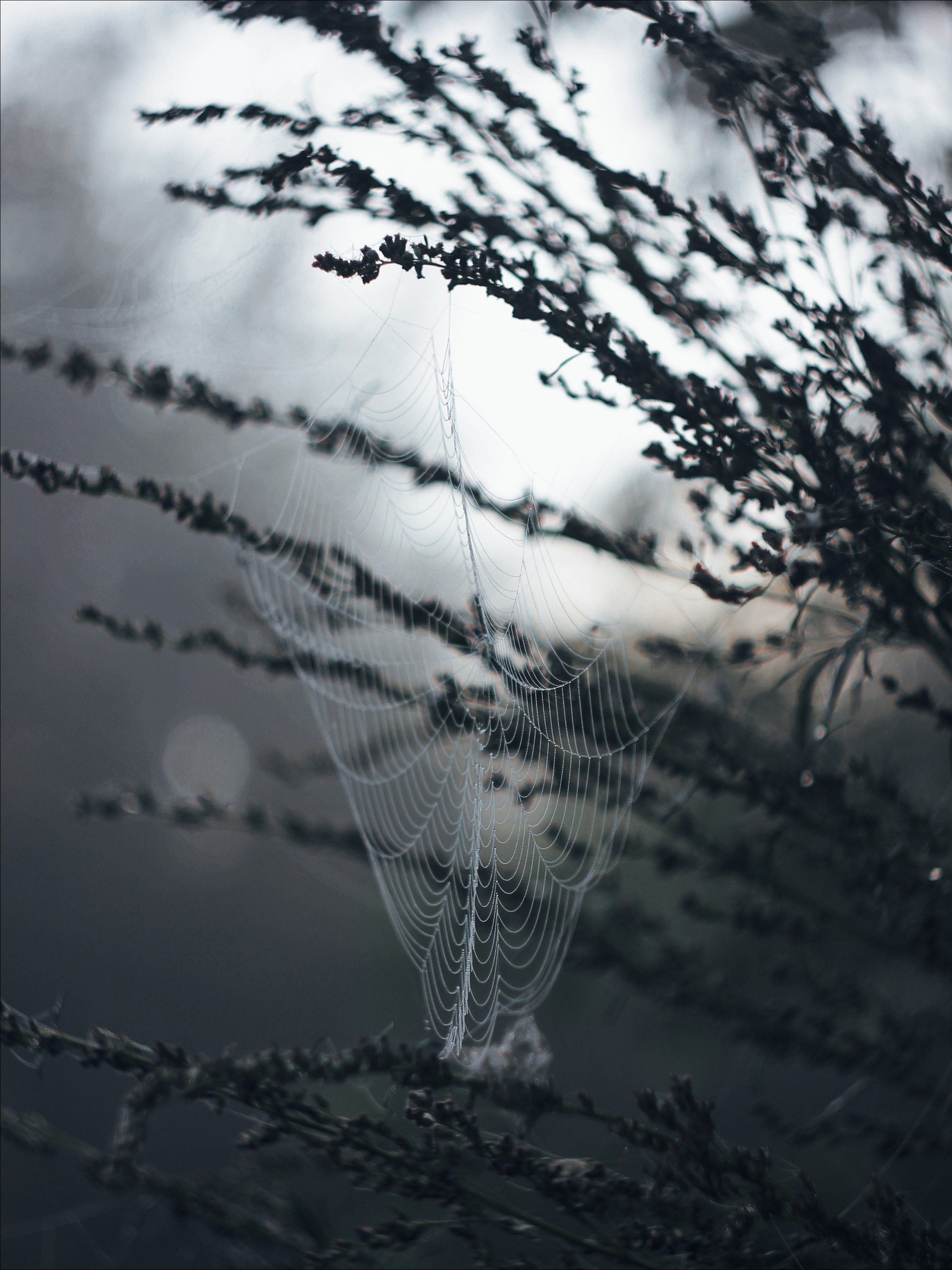 Опустошенность. С любовью, фотохудожник