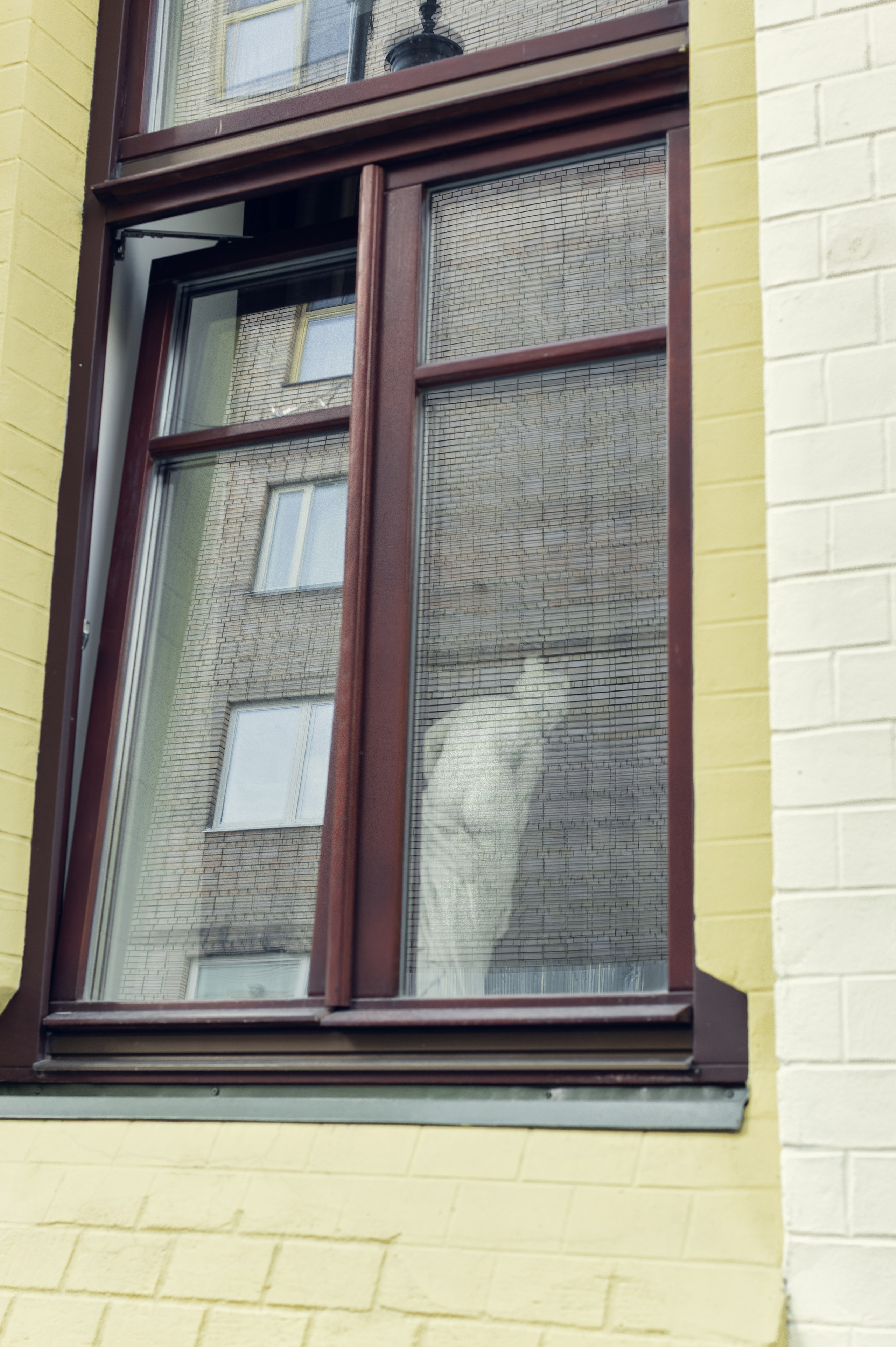 Фотограф на экскурсию Москва и Московская область