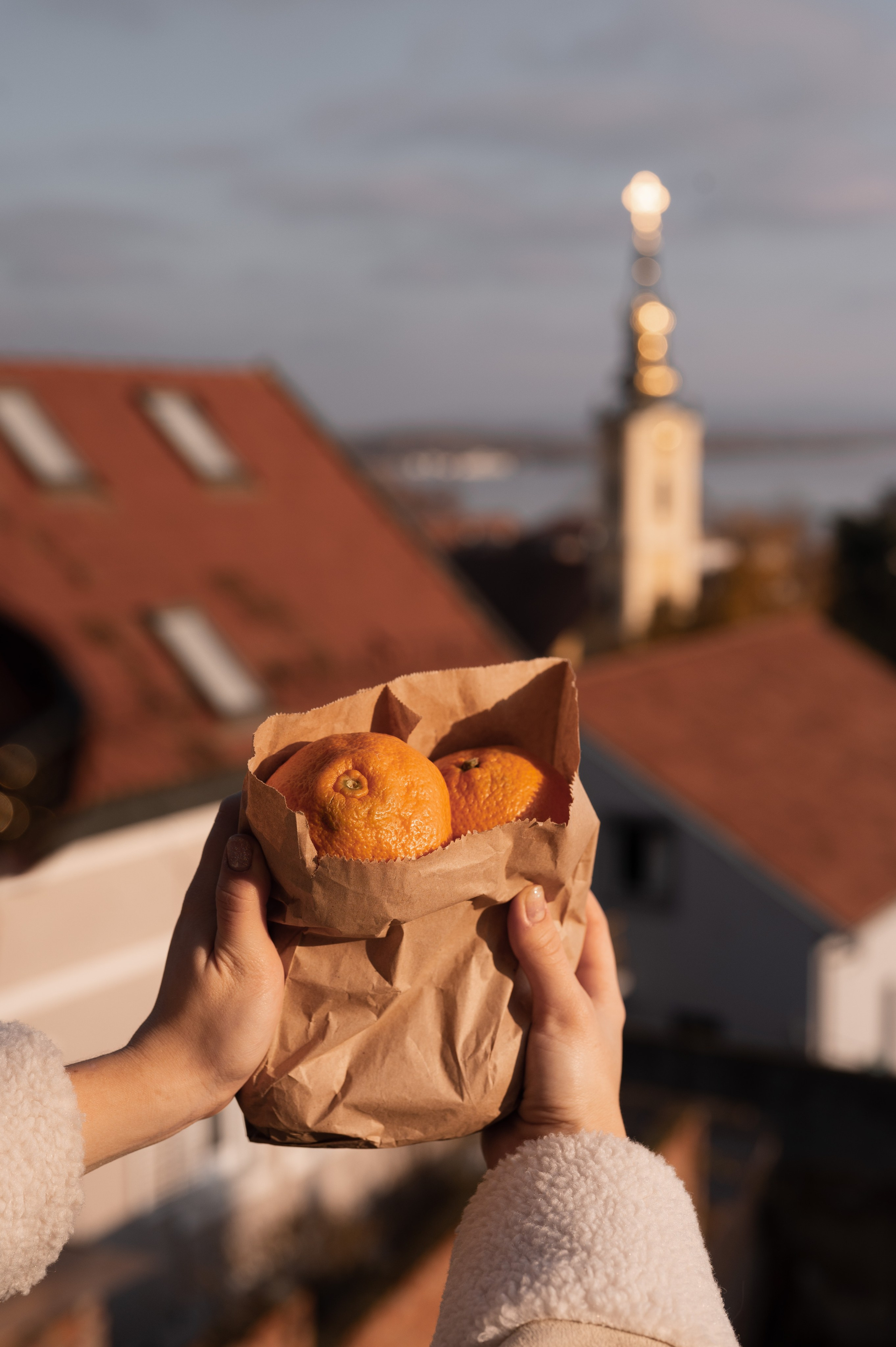 АЛИСА И НОВЫЙ ГОД. Фотограф в Белграде Чугреева Елена