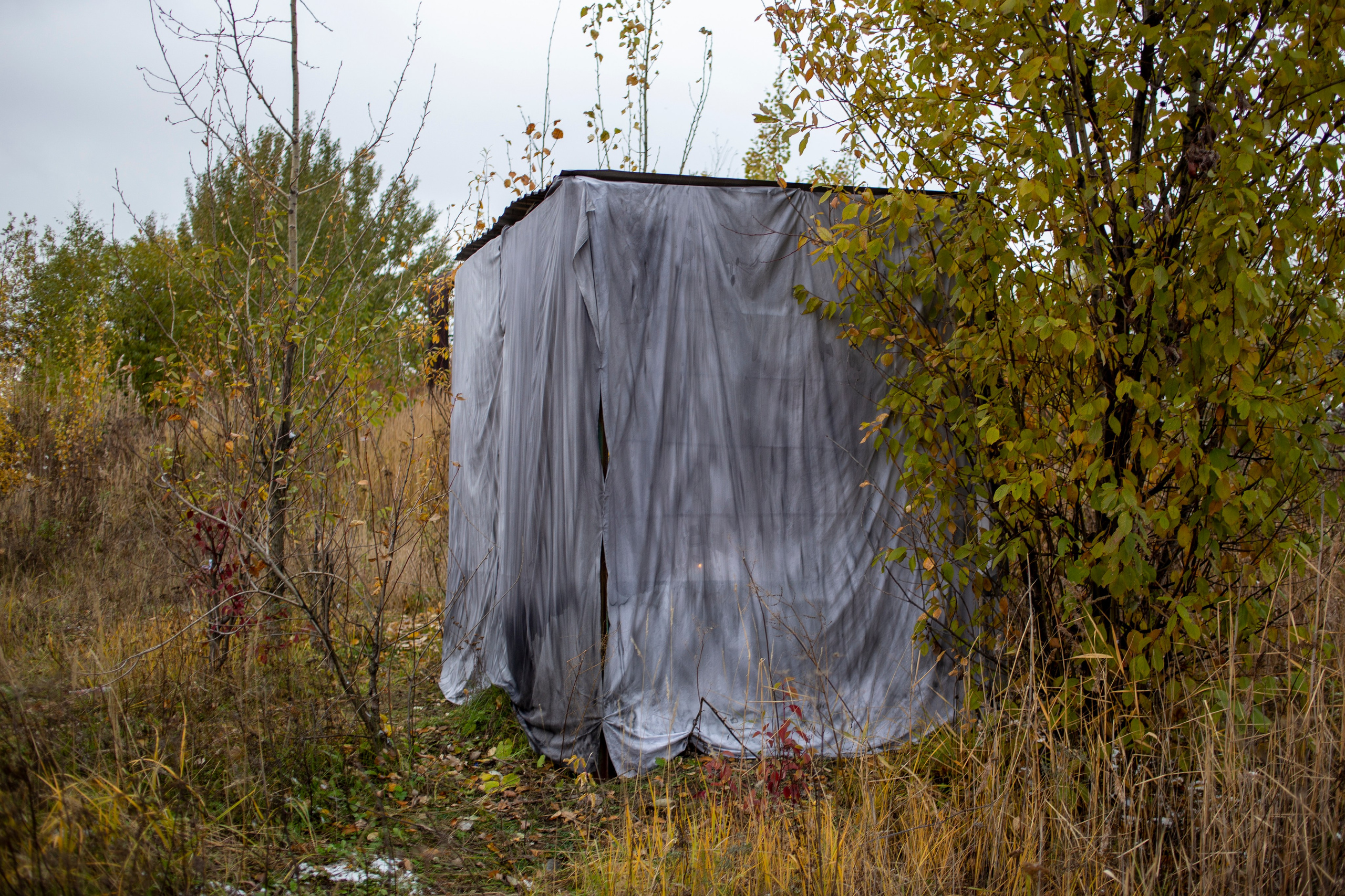 Сумерки речи. Михаил Курганов