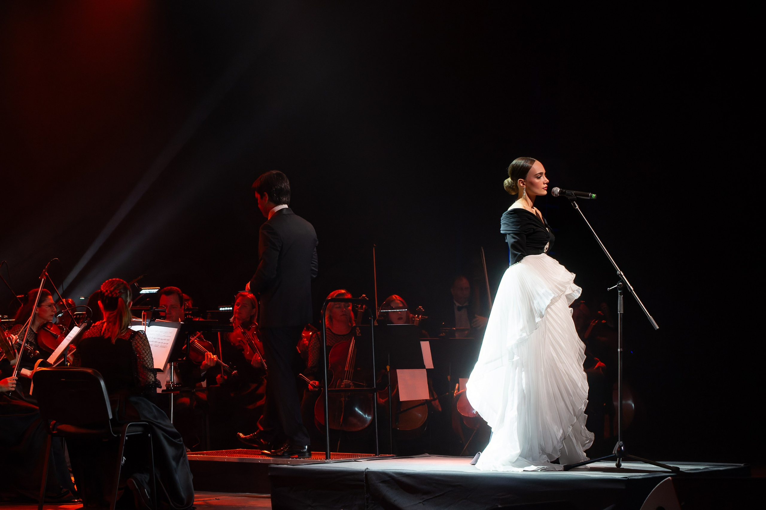 фотосъемка концерта стоимость