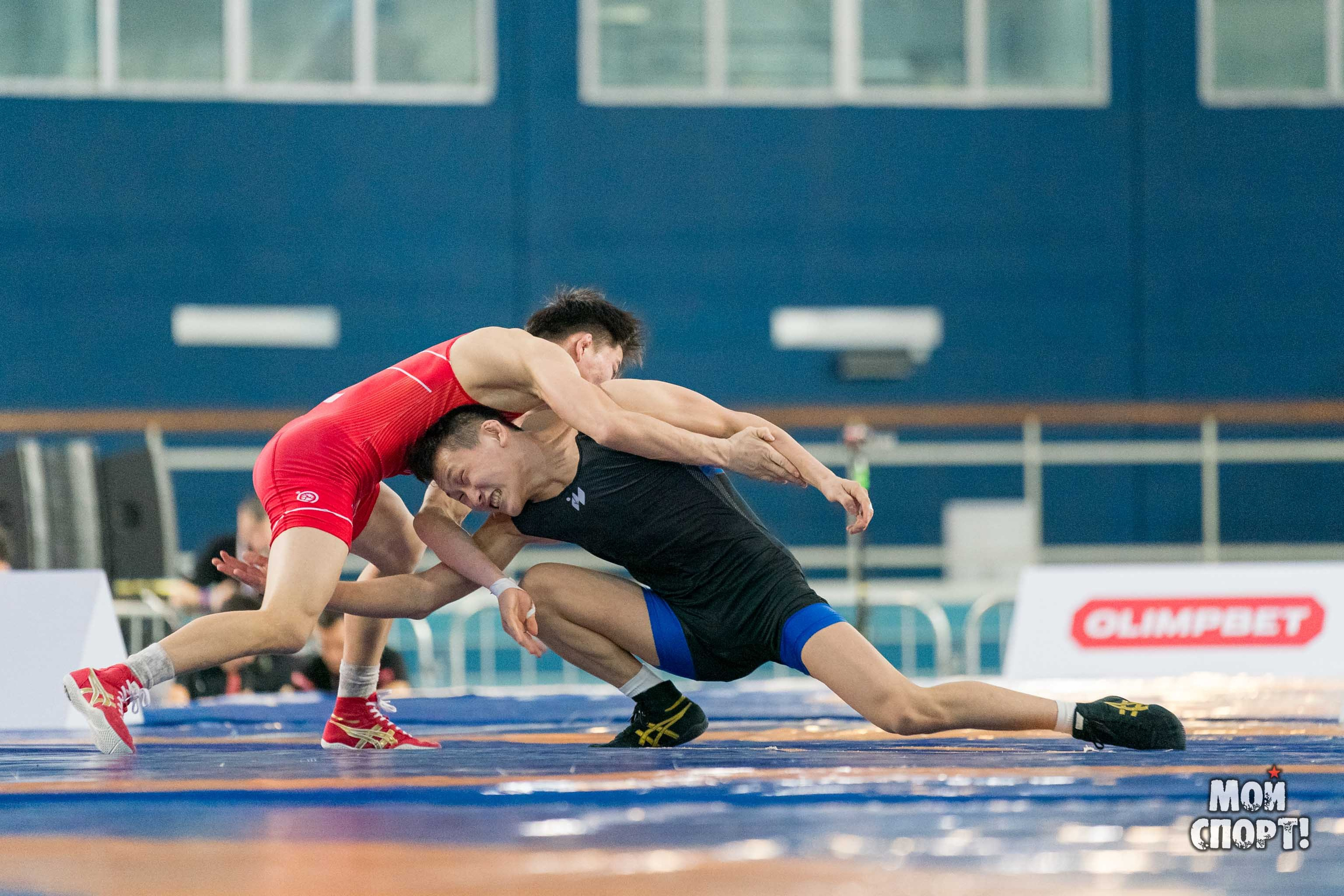 Международный турнир по вольной борьбе среди юниоров памяти олимпийского чемпиона Романа Дмитриева. Студия «Мой Спорт!» — все о спорте в Якутии