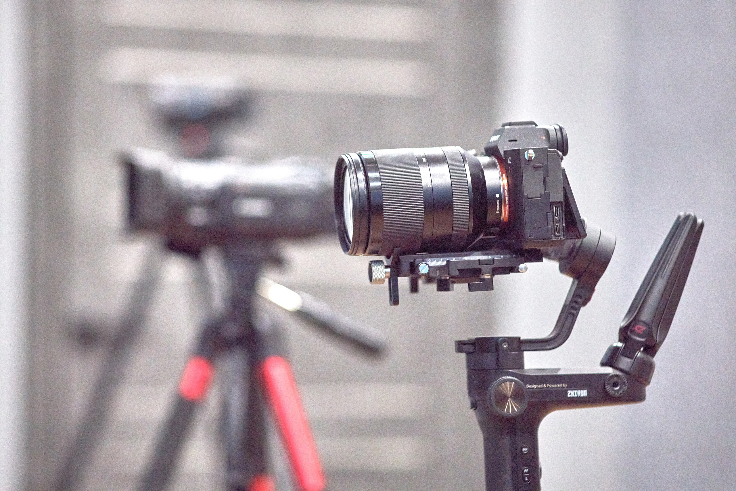 Свадебная фотосъемка | The One Ярославль. Фото и видеосъёмка в Ярославле | Студия The One — от 2500 ₽/час