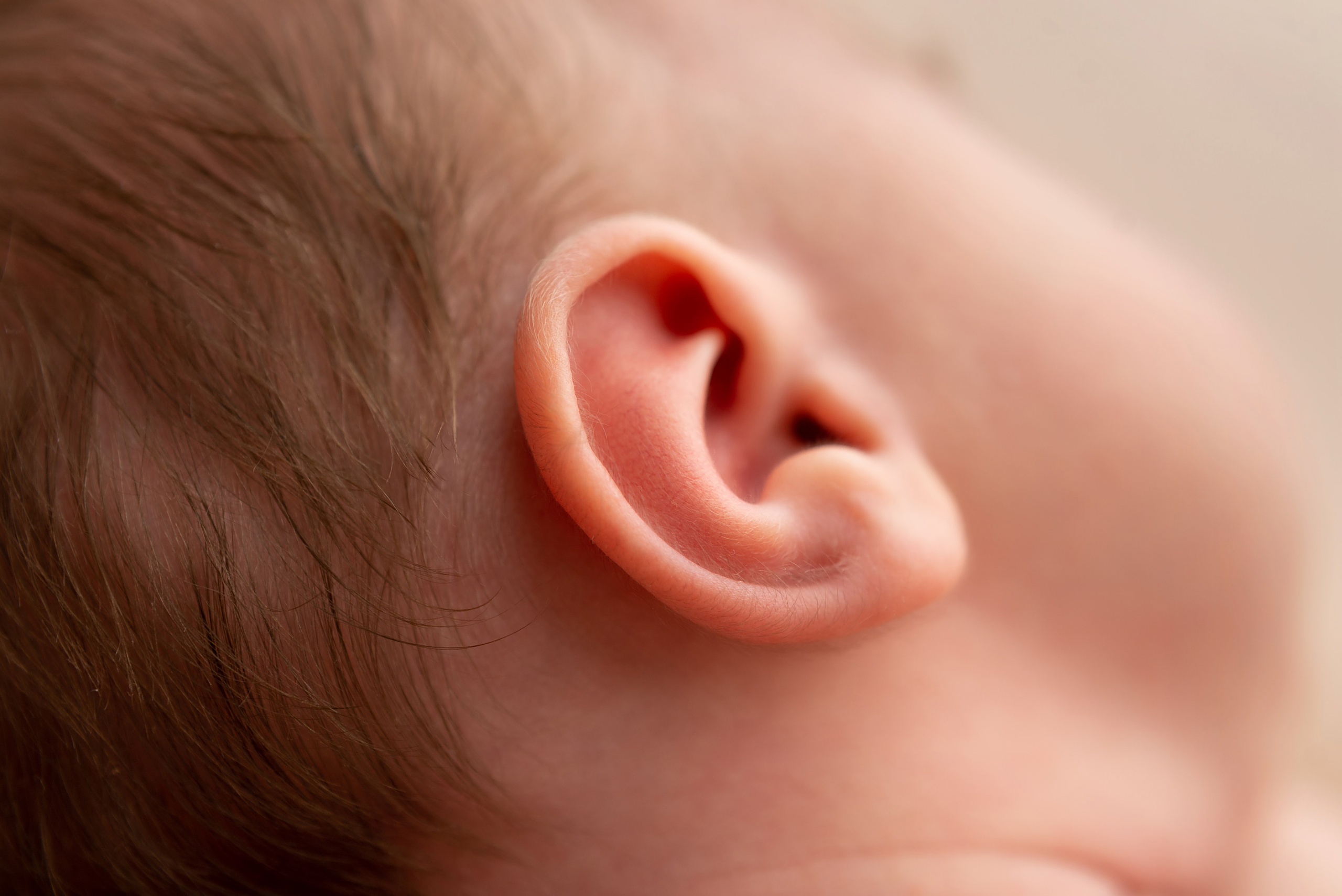 Макрокадры. Детский фотограф новорождённых в Барнауле Ксения Хомкина