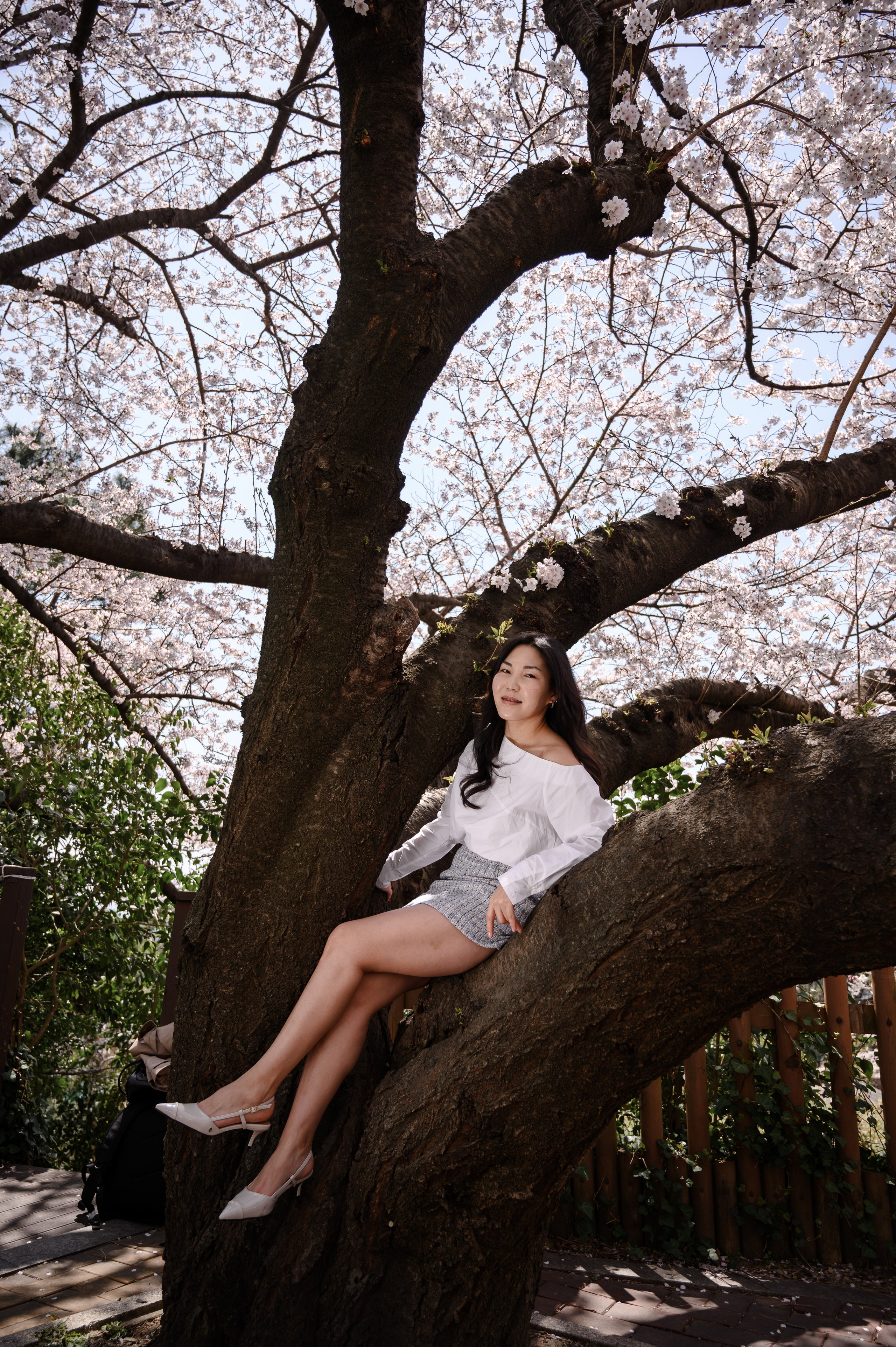 Busan cherry blossom portrait photography spring Korea