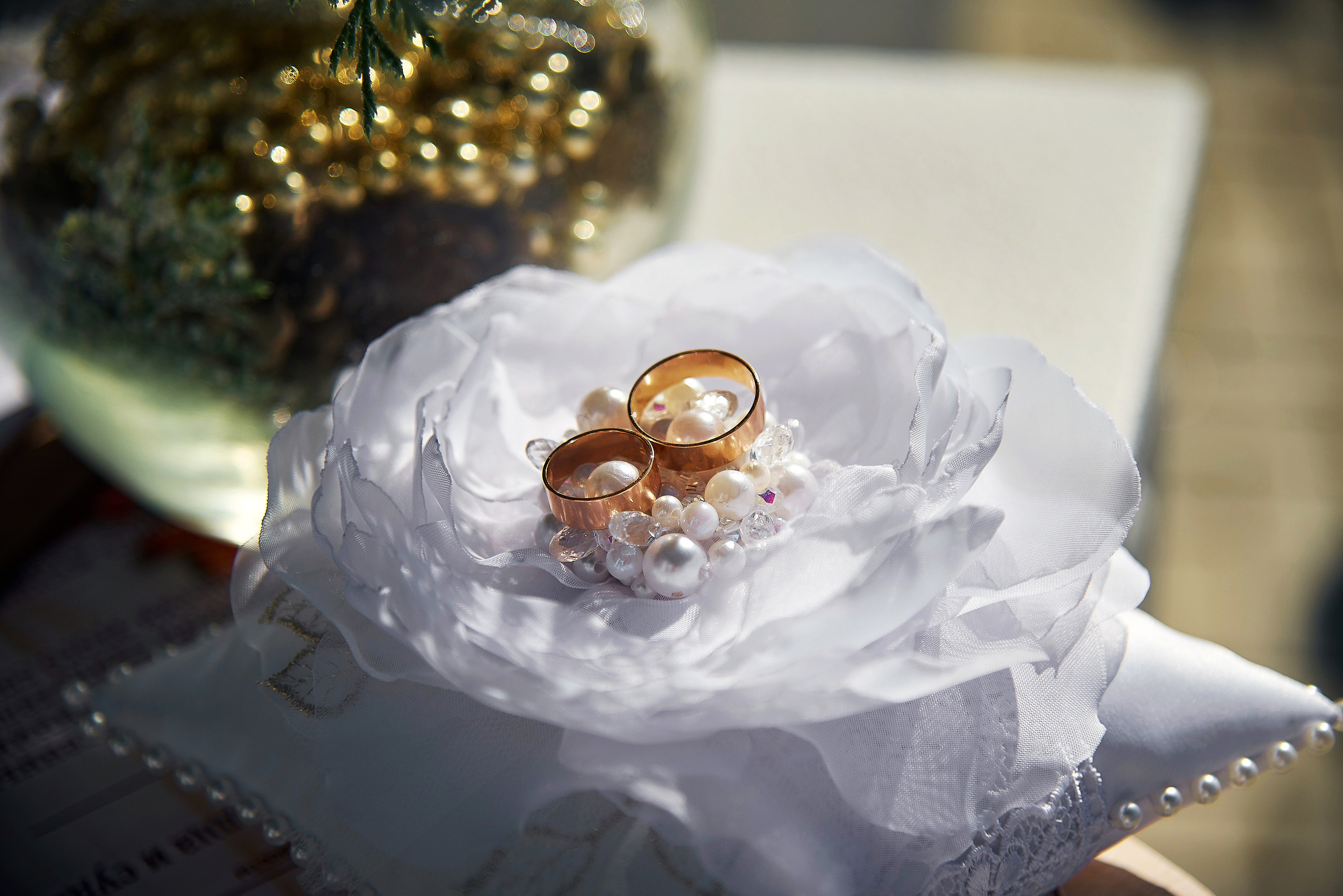 Анастасия и Антон. Фотограф Опыт Качество Скорость Горный Алтай Барнаул