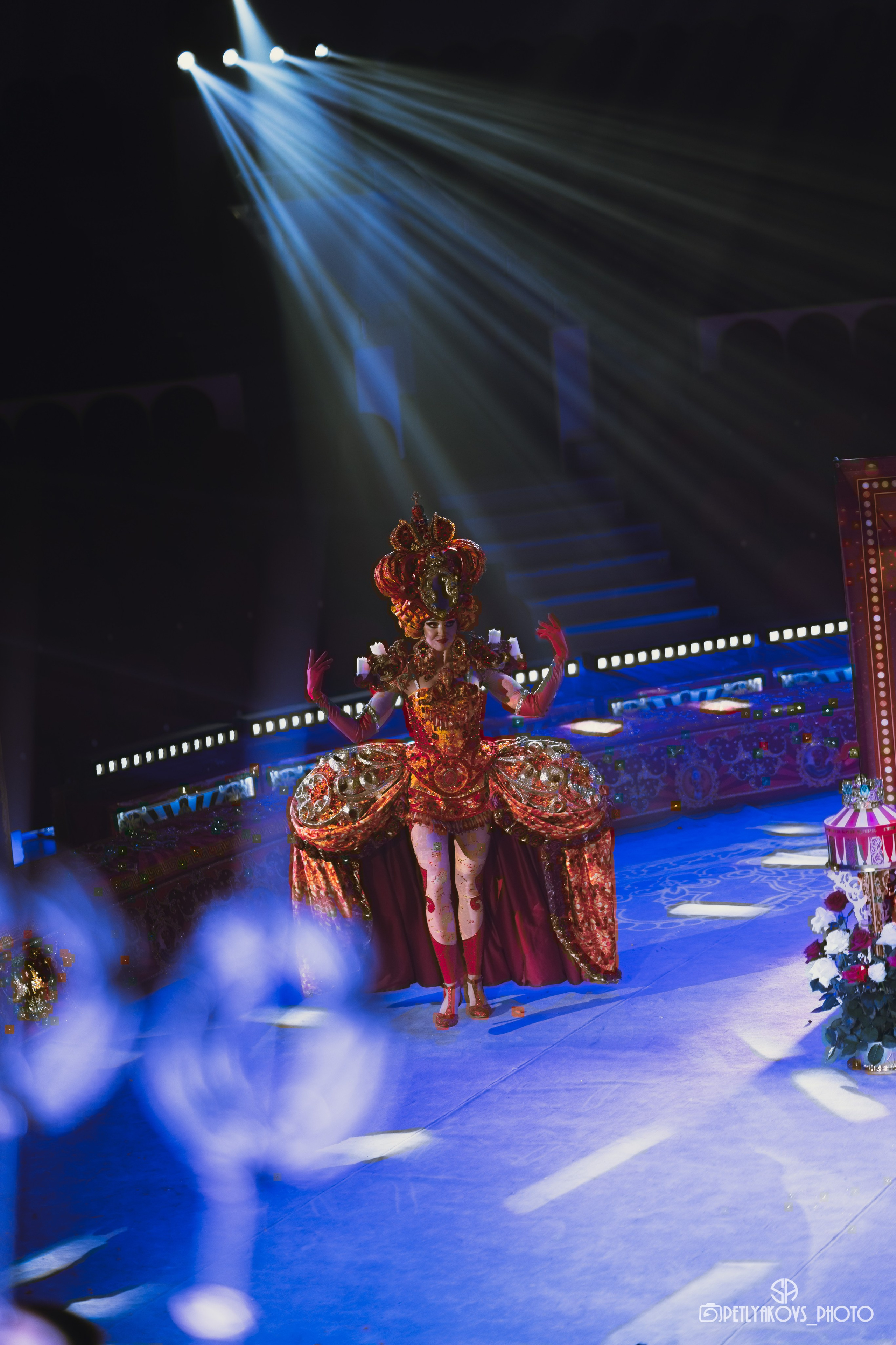 Пресс-конференция циркового шоу Гии Эрадзе «Бурлеск» (репортаж). Фотограф, видеограф Пятигорск, Ставрополь, Ессентуки, Petlyakovs_photo