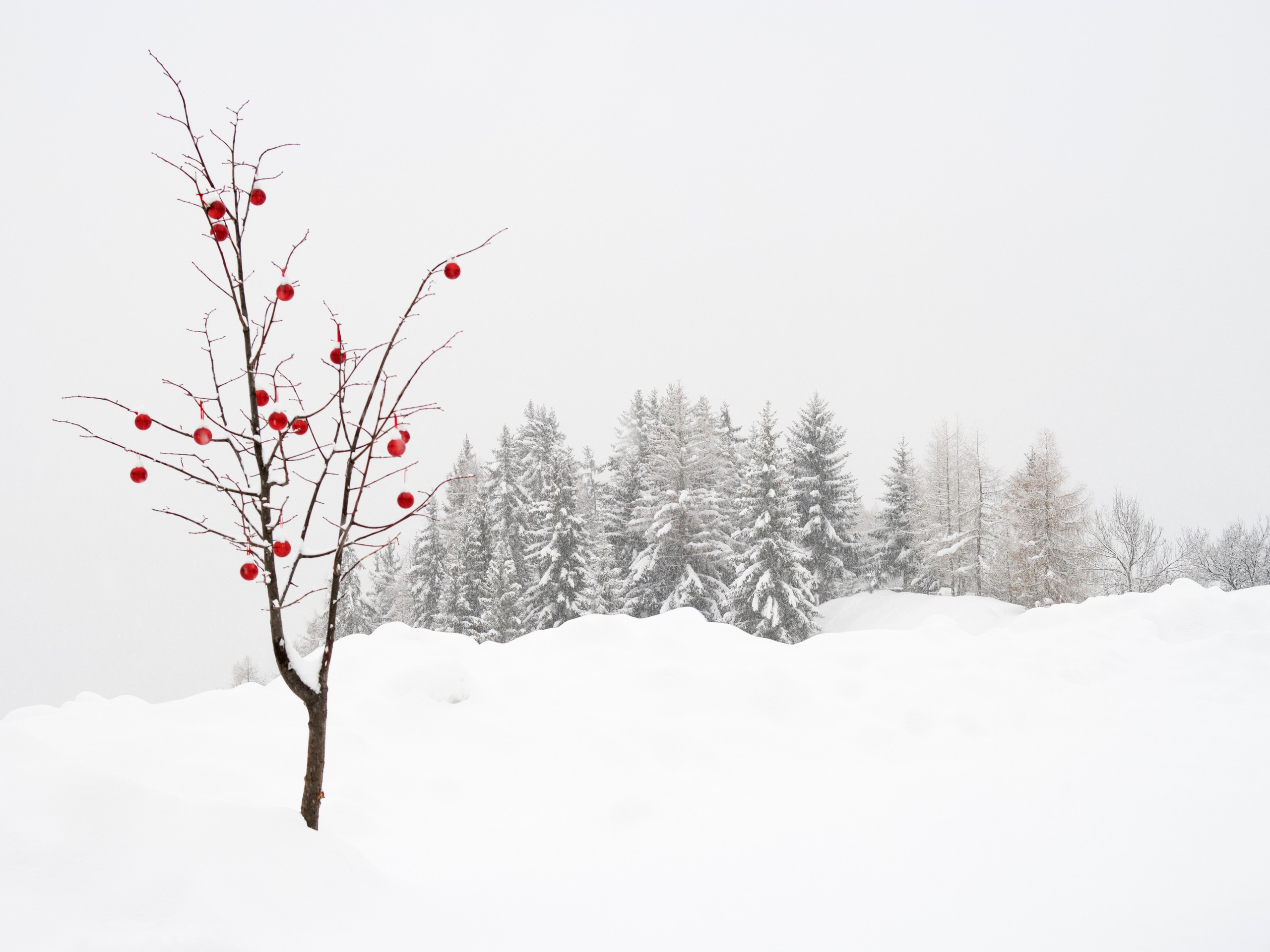 Dolomites. Vasiliy Riabovol — Fine Art Photographer | Time, Space, and Silence