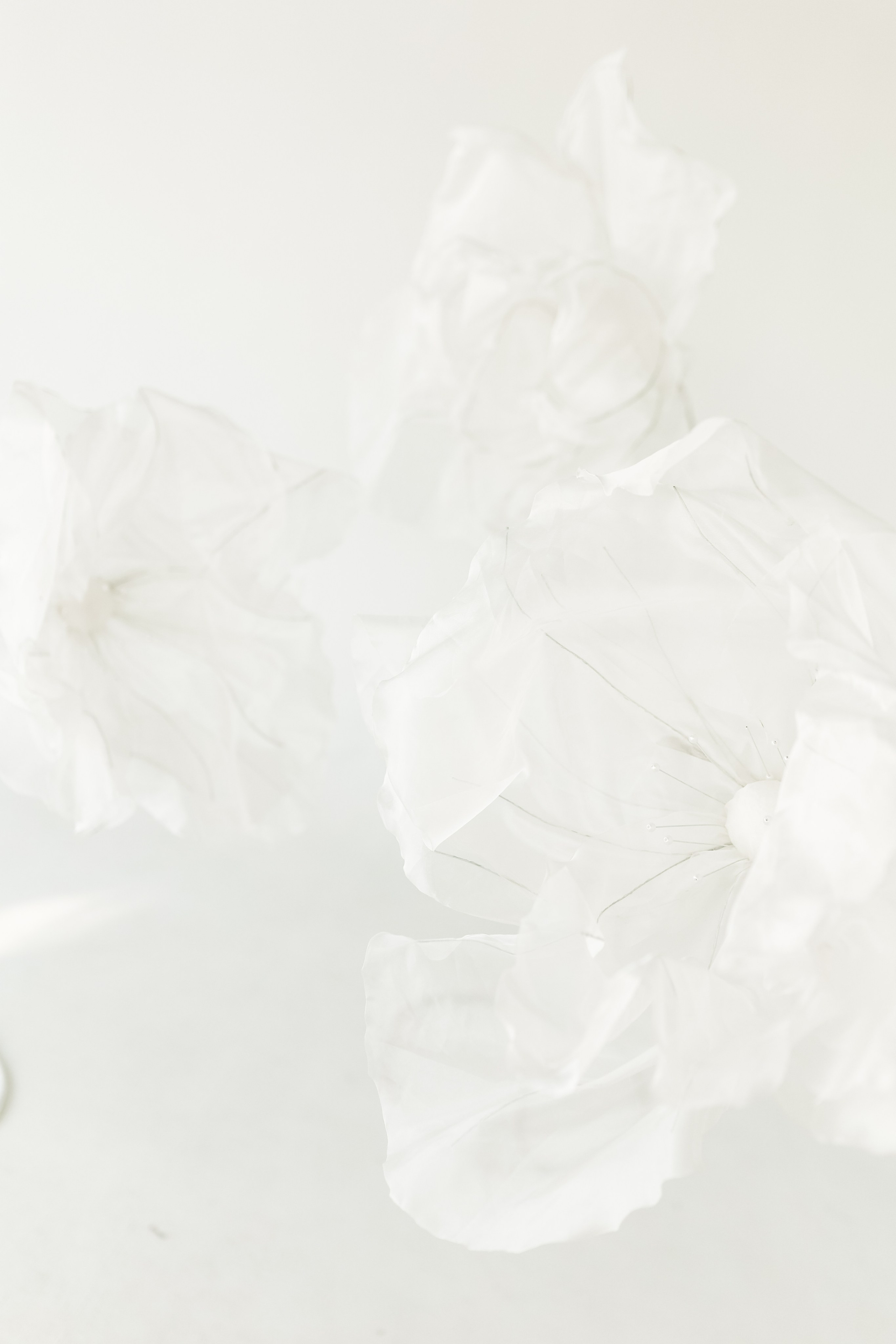 Циклорама. Фотостудия Фотодом. Якутск