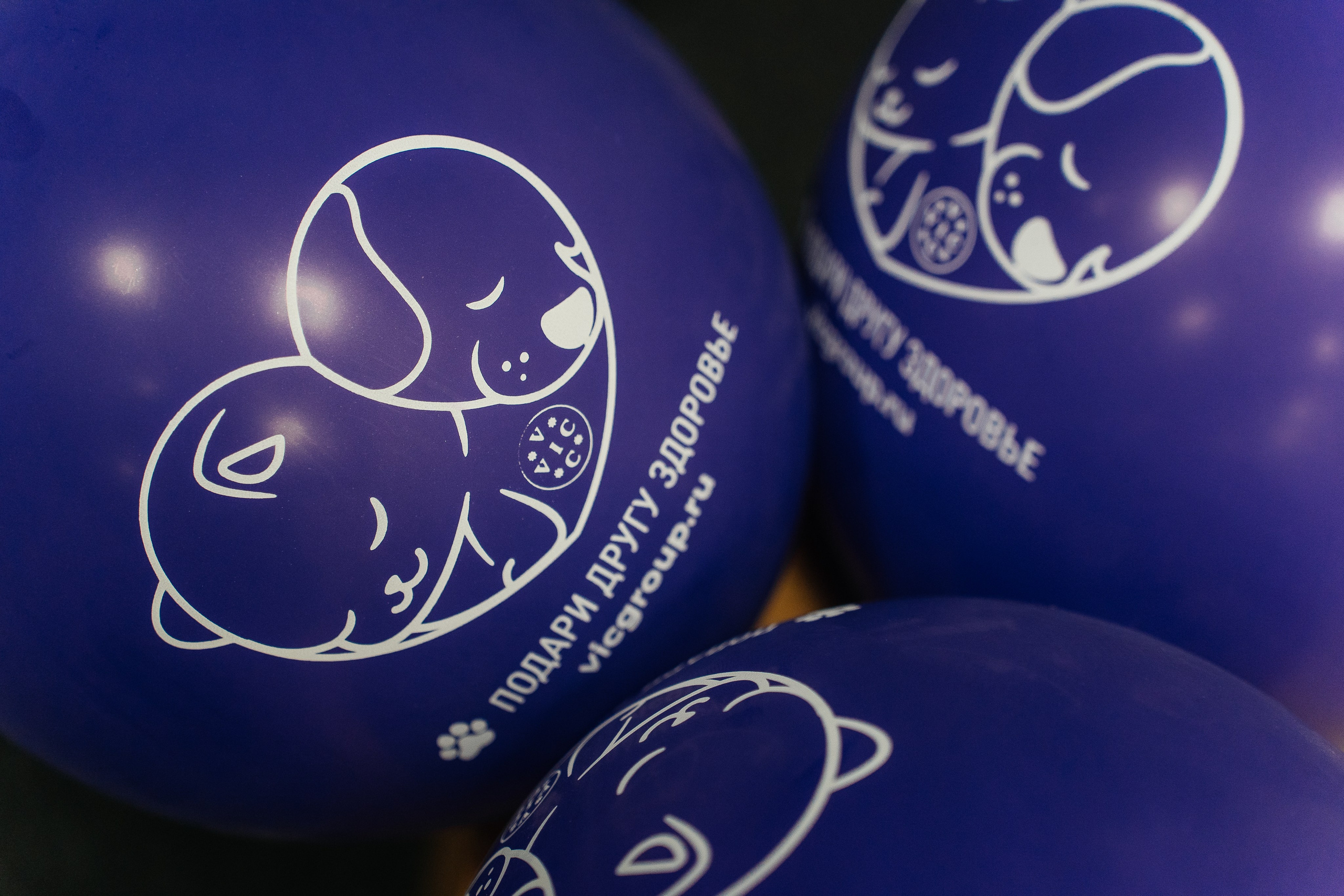 Конференция DOG-ПРОФИ для заводчиков. Питомник китайских хохлатых собак Poale Ell: купить щенка