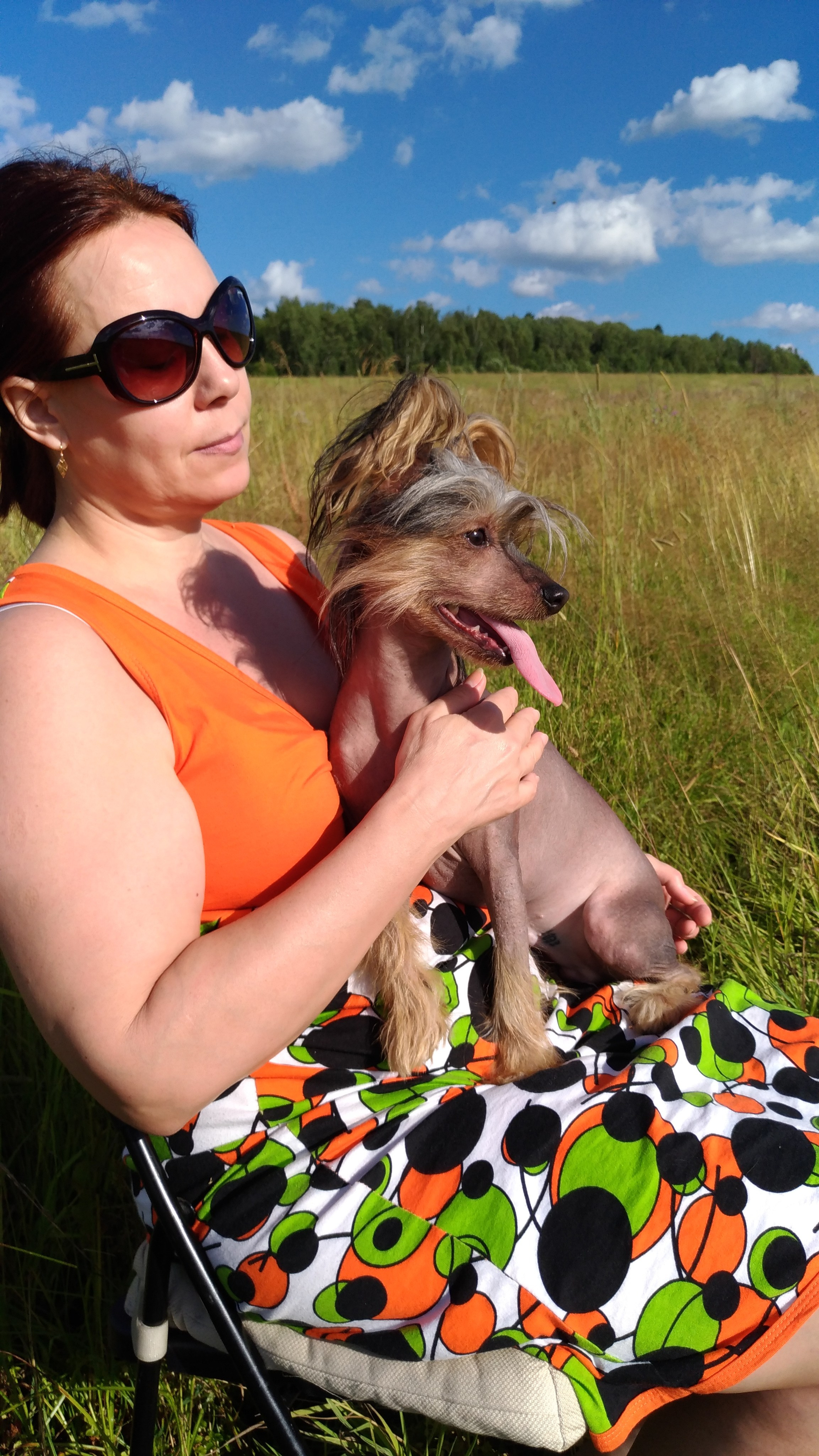 В поле под присмотром сокола. Питомник китайских хохлатых собак Poale Ell: купить щенка в питомнике