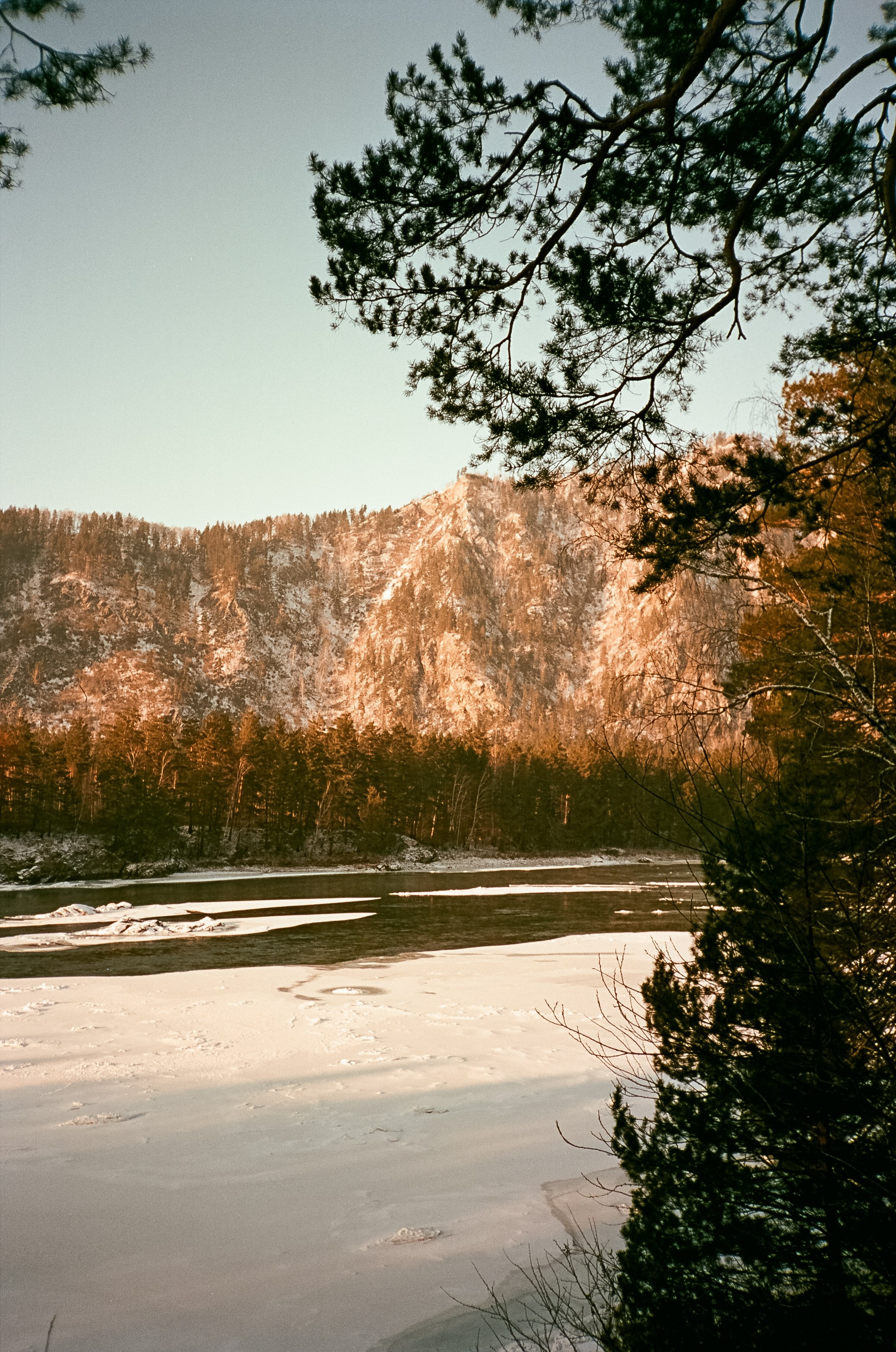 Семинский перевал / 19 декабря 2023 года (-18℃) / Kodak Aerocolor IV