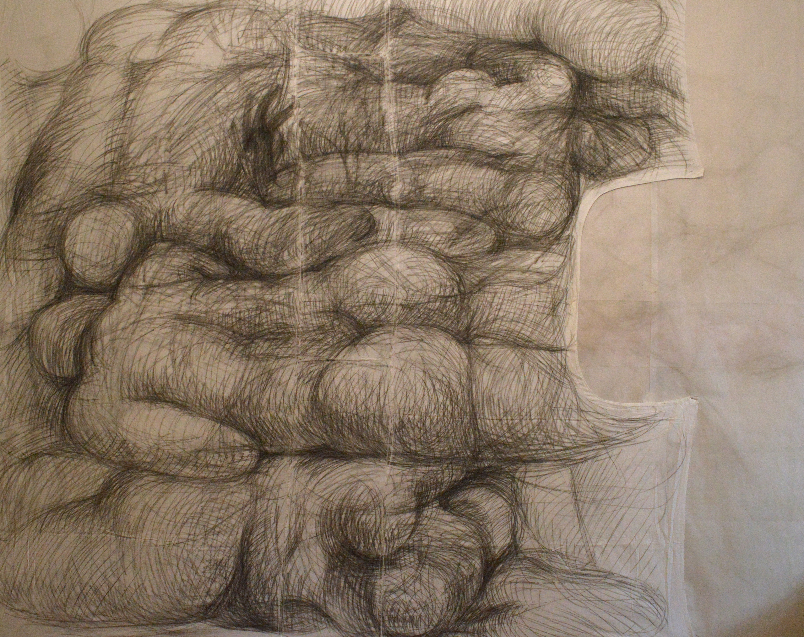 «Графические фрески» 2025. Лилия Ким. Междисциплинарный художник