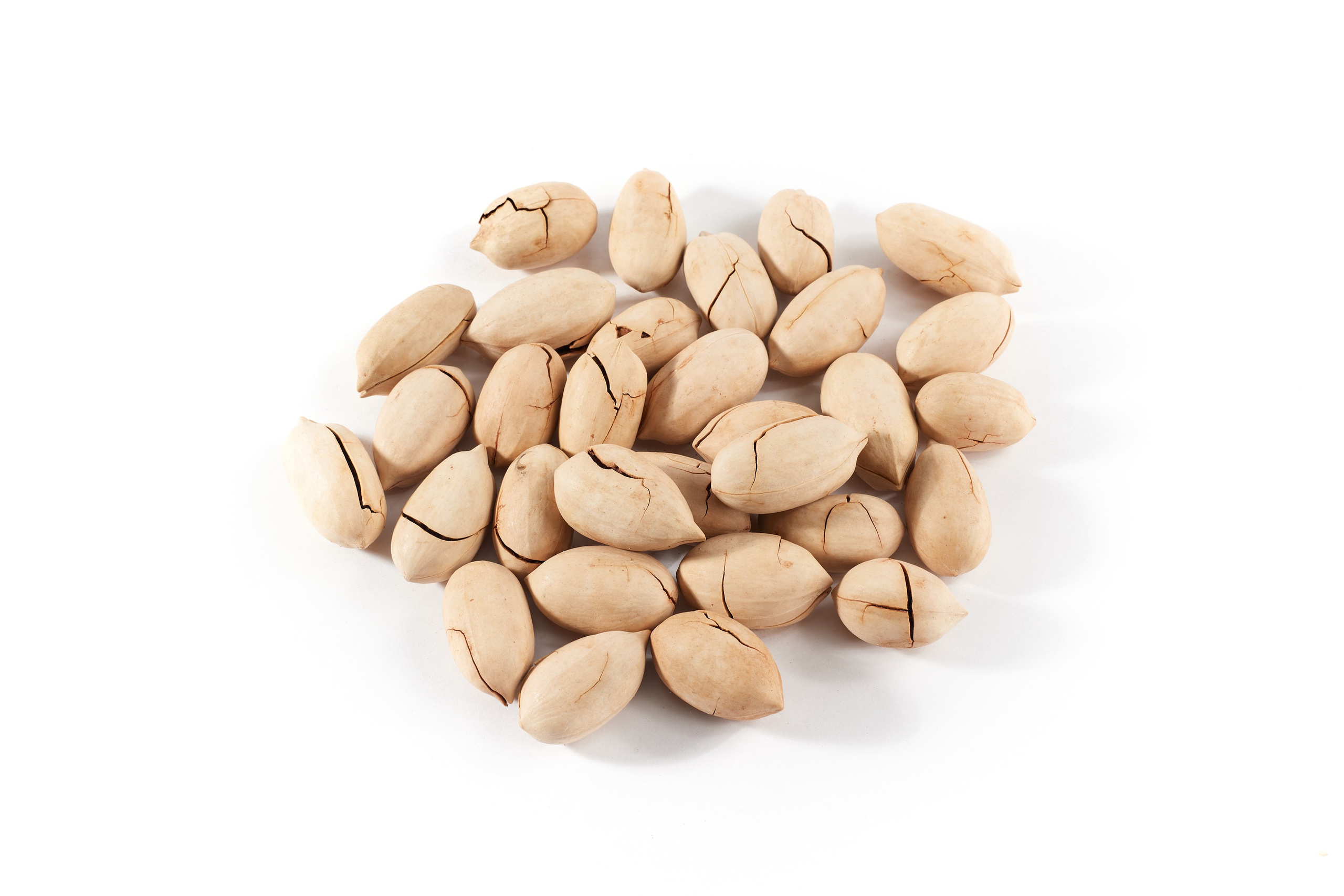 Nut4Life. Фотограф Сергей Бойко Москва