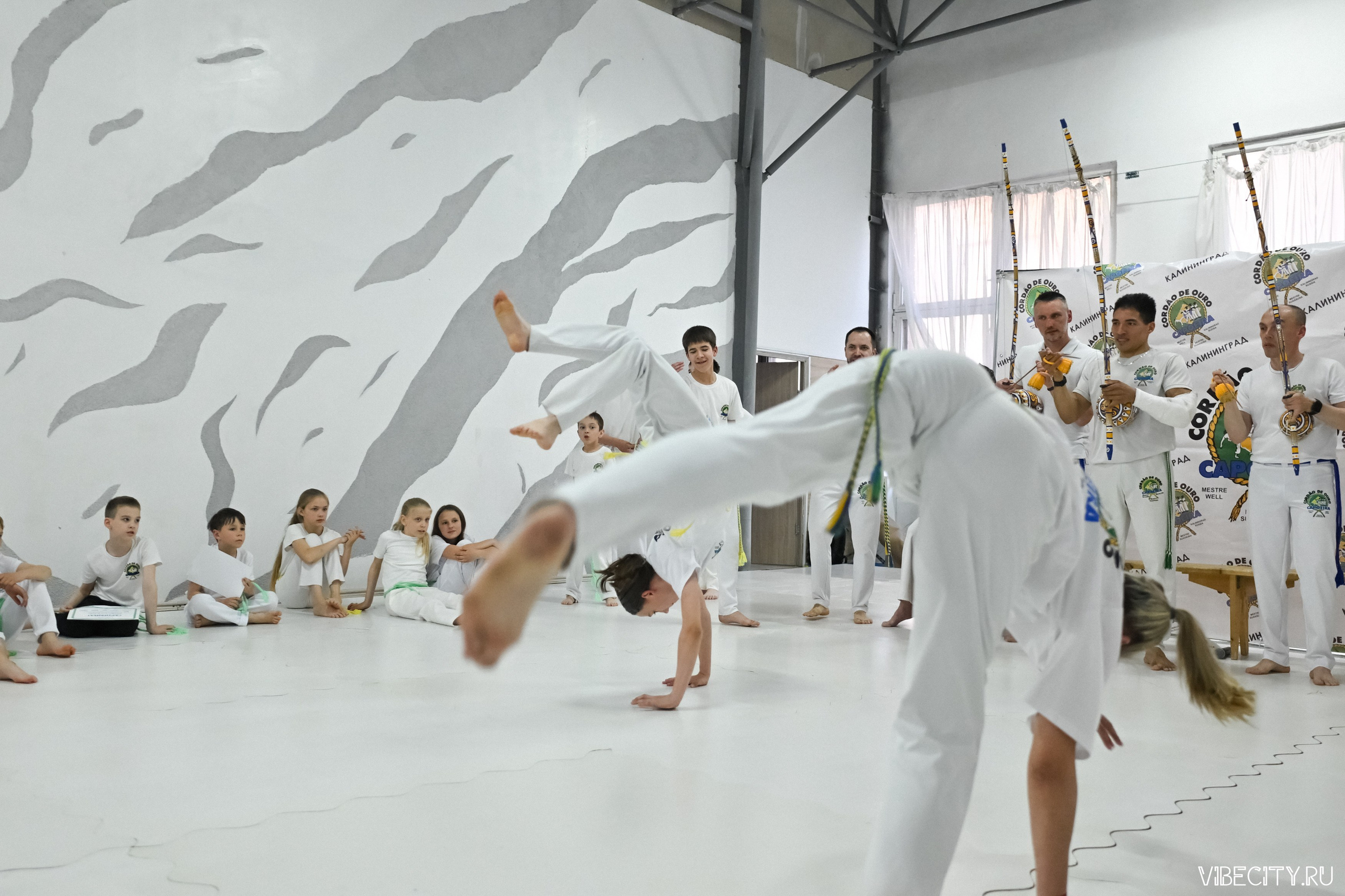 Capoeira: 4-е batizado e Troca de cordao. VIBECITY.RU Вайб Сити Ру Фоторепортажи Фотоотчеты Калининград