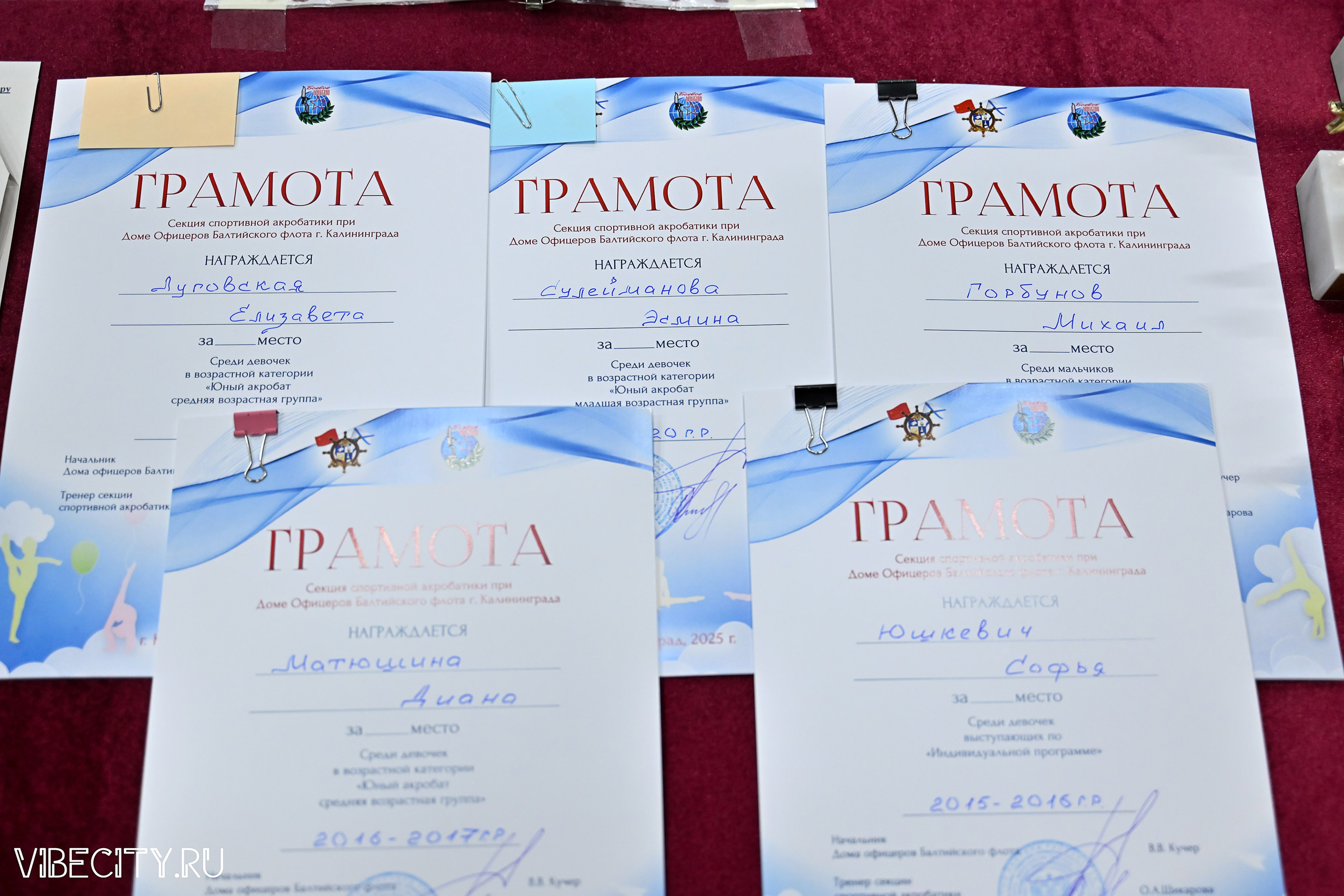 Контрольная тренировка по спортивной гимнастике. VIBECITY.RU Вайб Сити Ру Фоторепортажи Фотоотчеты Калининград