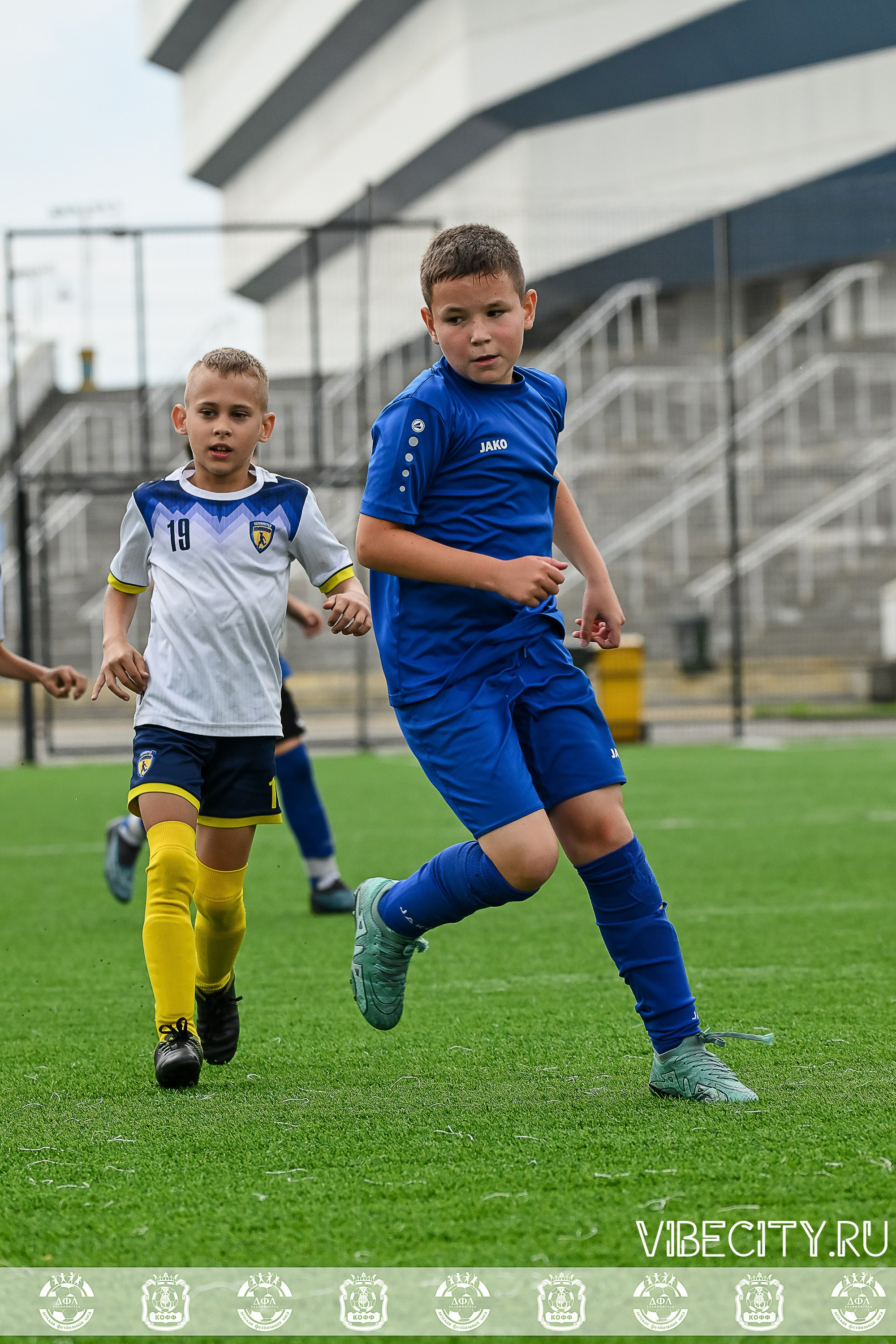 Калининградская Детская Футбольная Лига. VIBECITY.RU Вайб Сити Ру Фоторепортажи Фотоотчеты Калининград