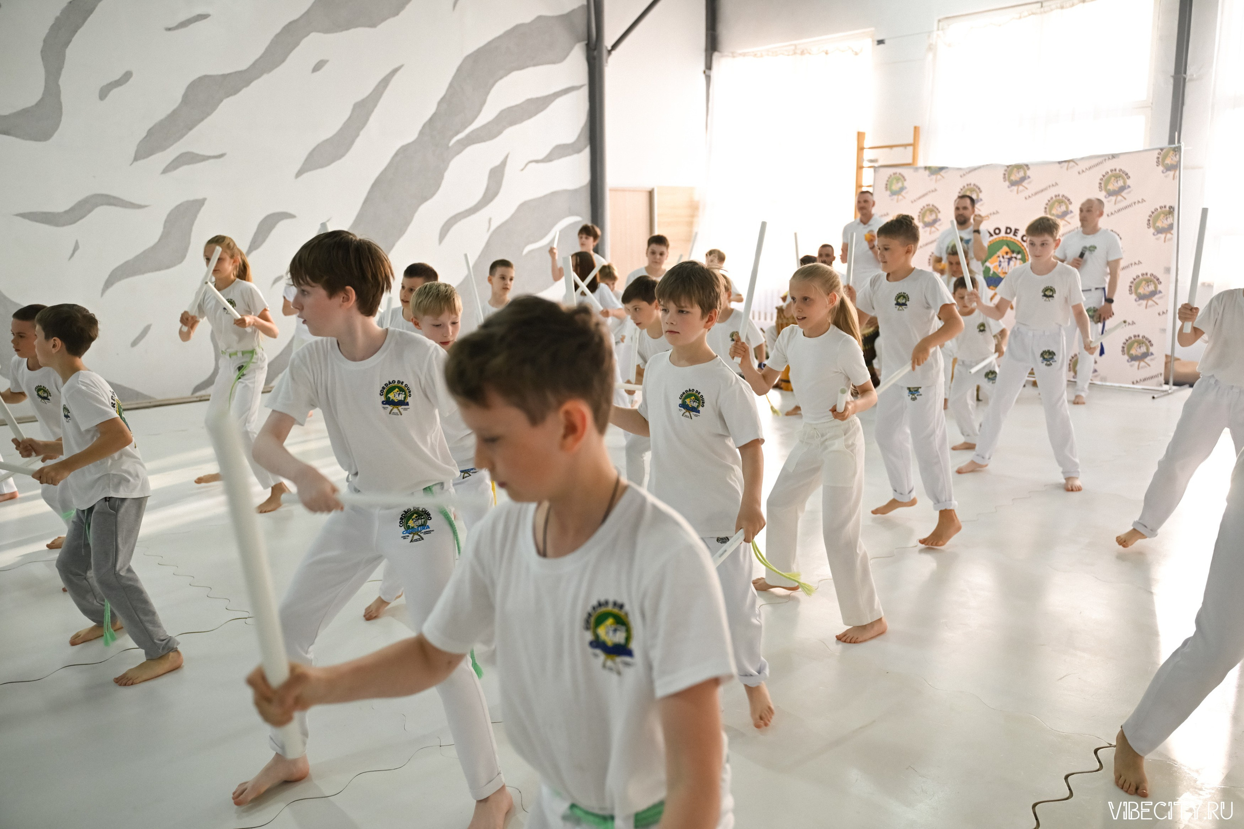 Capoeira: 4-е batizado e Troca de cordao. VIBECITY.RU Вайб Сити Ру Фоторепортажи Фотоотчеты Калининград