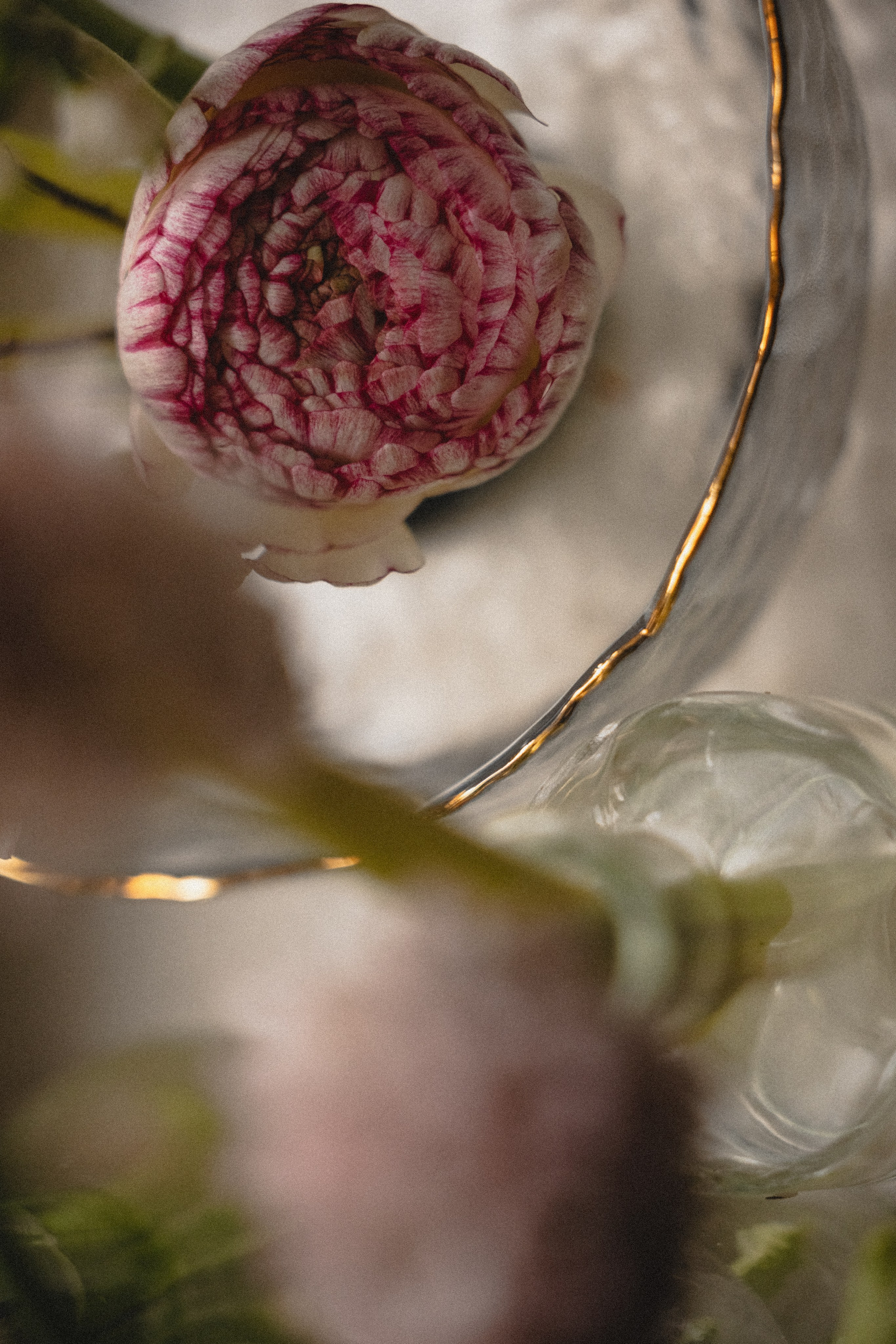 Свадебный и семейный фотограф и видеограф в Крыму | Алёна Межевова