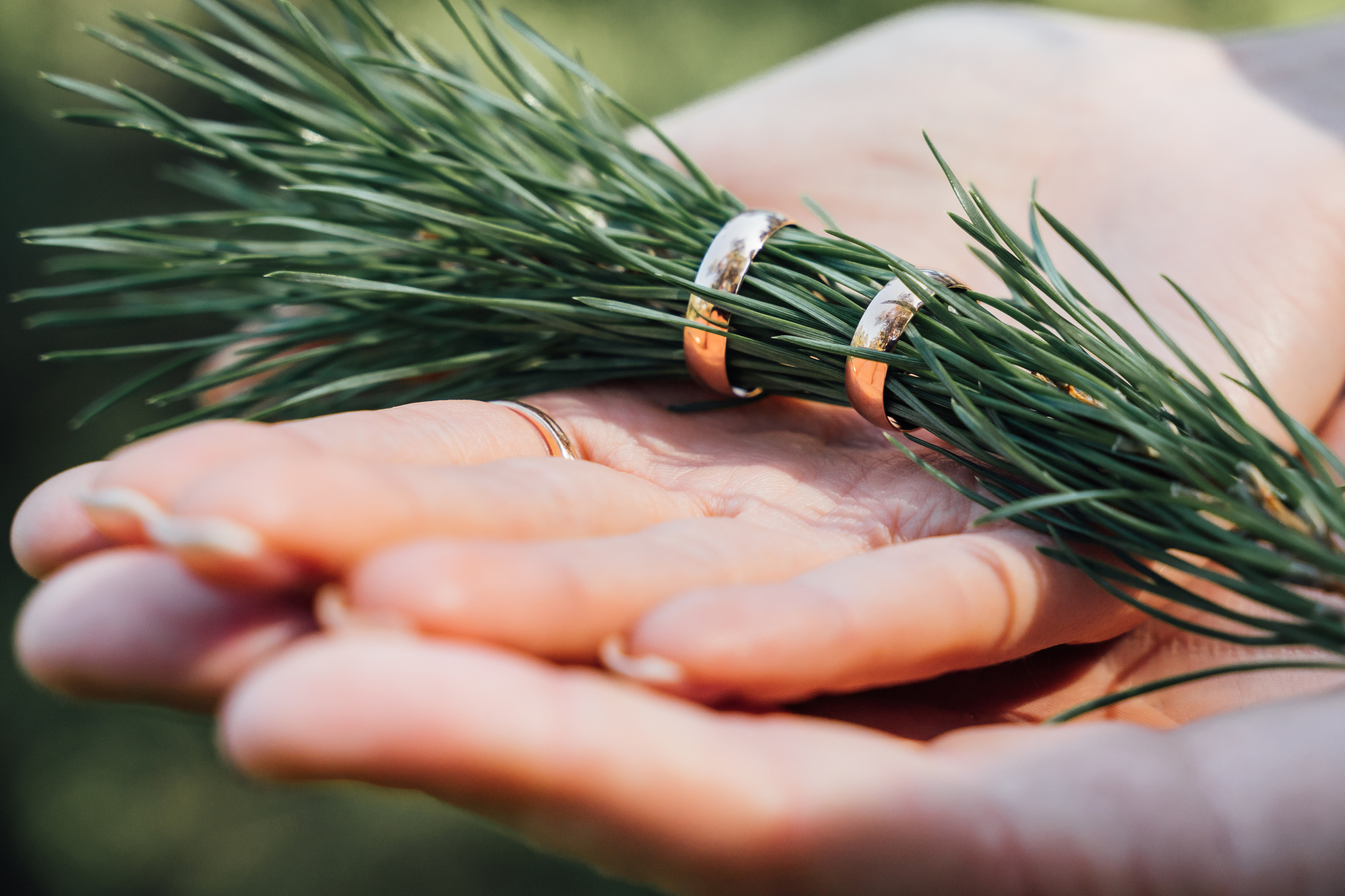 Свадебный фотограф в Коломне, Воскресенске, Егорьевске Владимир Петров