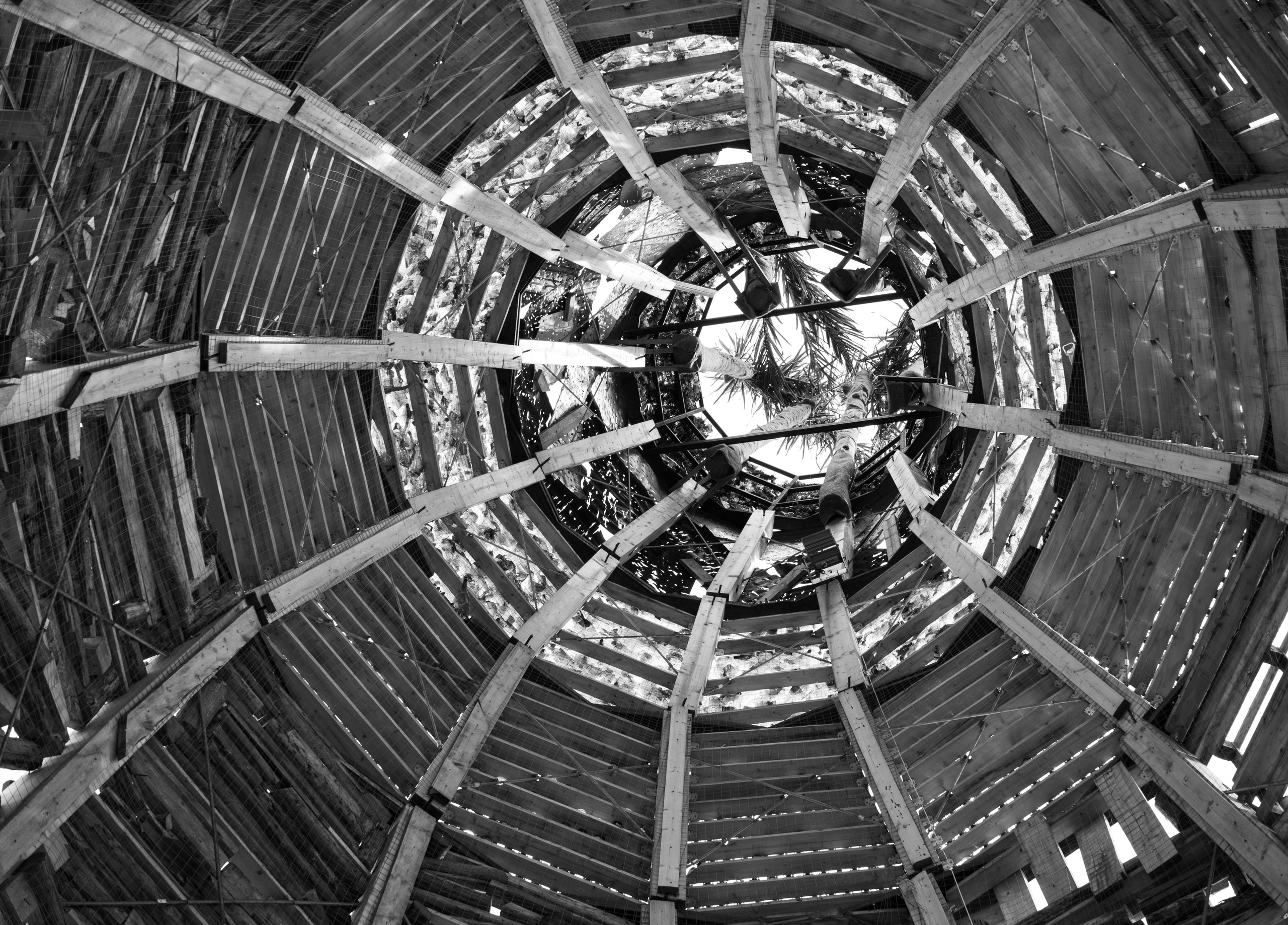 Фотографии Тиграна Худавердяна