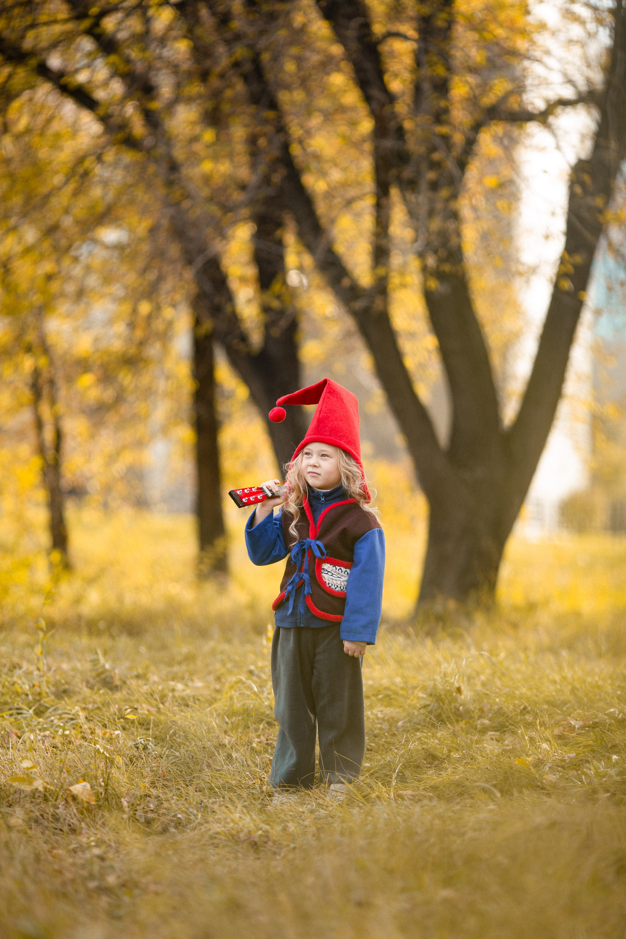 Лесные гномы