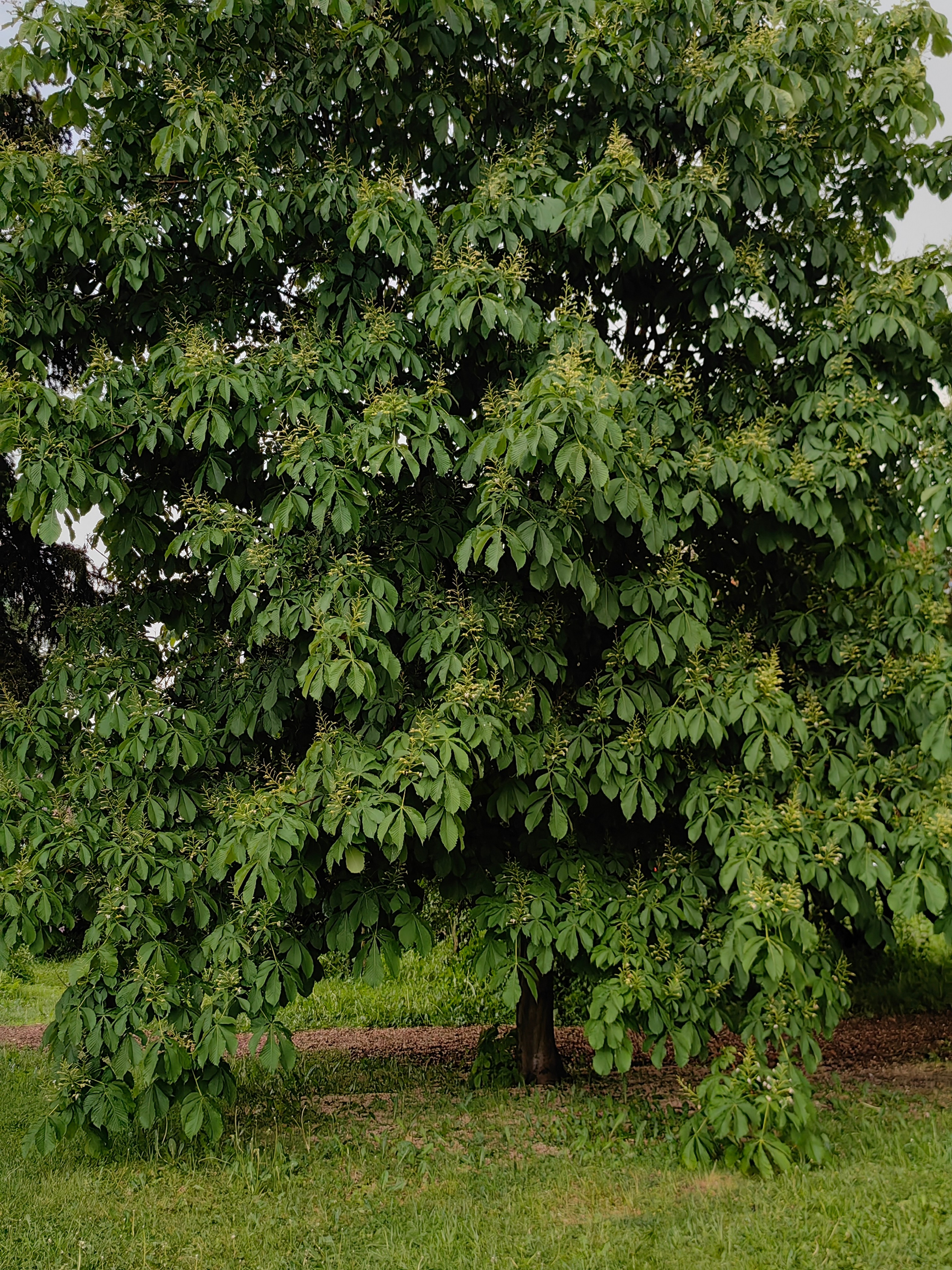 Парк БОТАНИЧЕСКИЙ САД обзор. Фотограф в Москве и Московской области (Ю-В) Олеся Макарова
