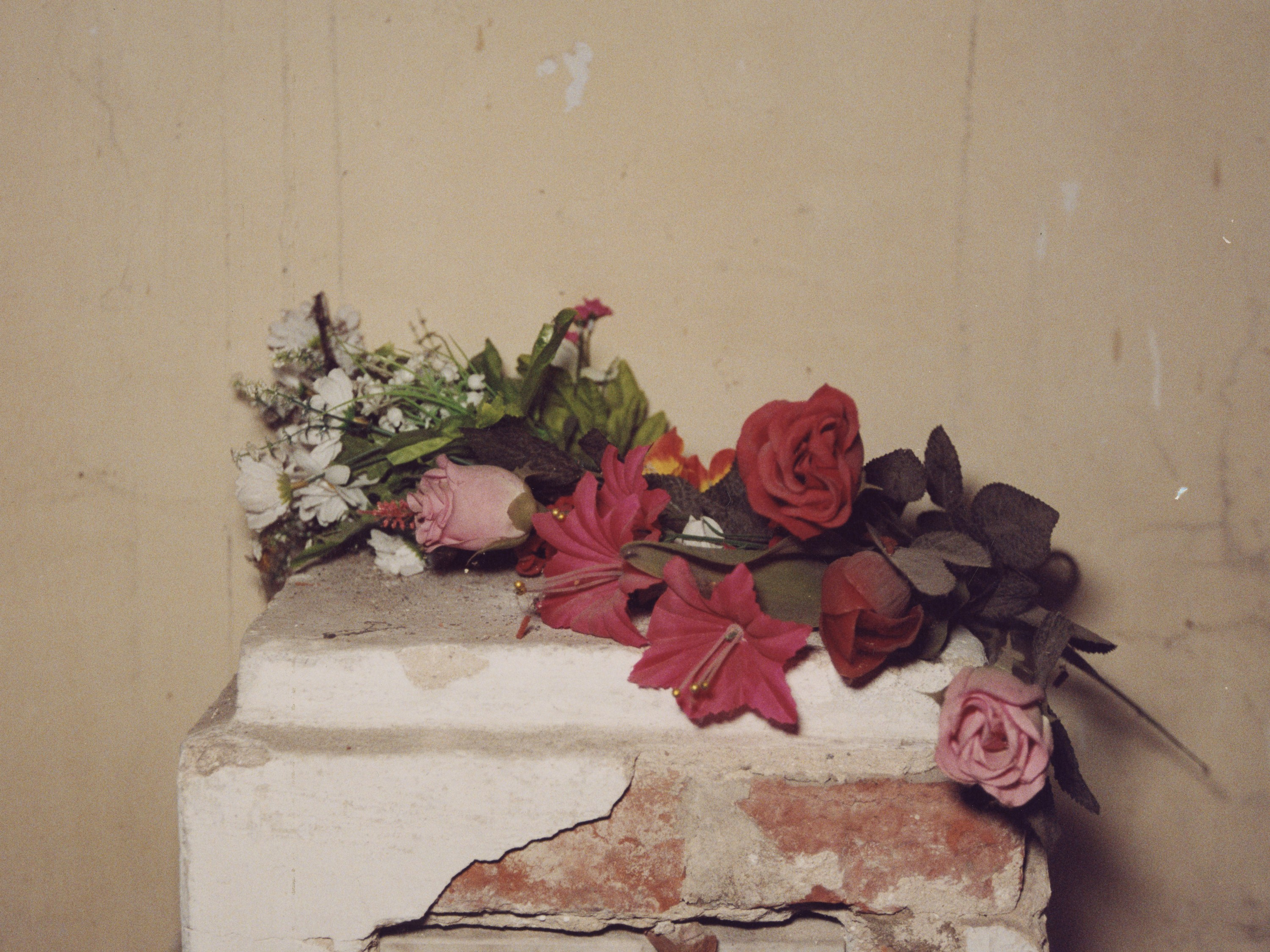 STILL LIFE. Photographer Olya Pegova