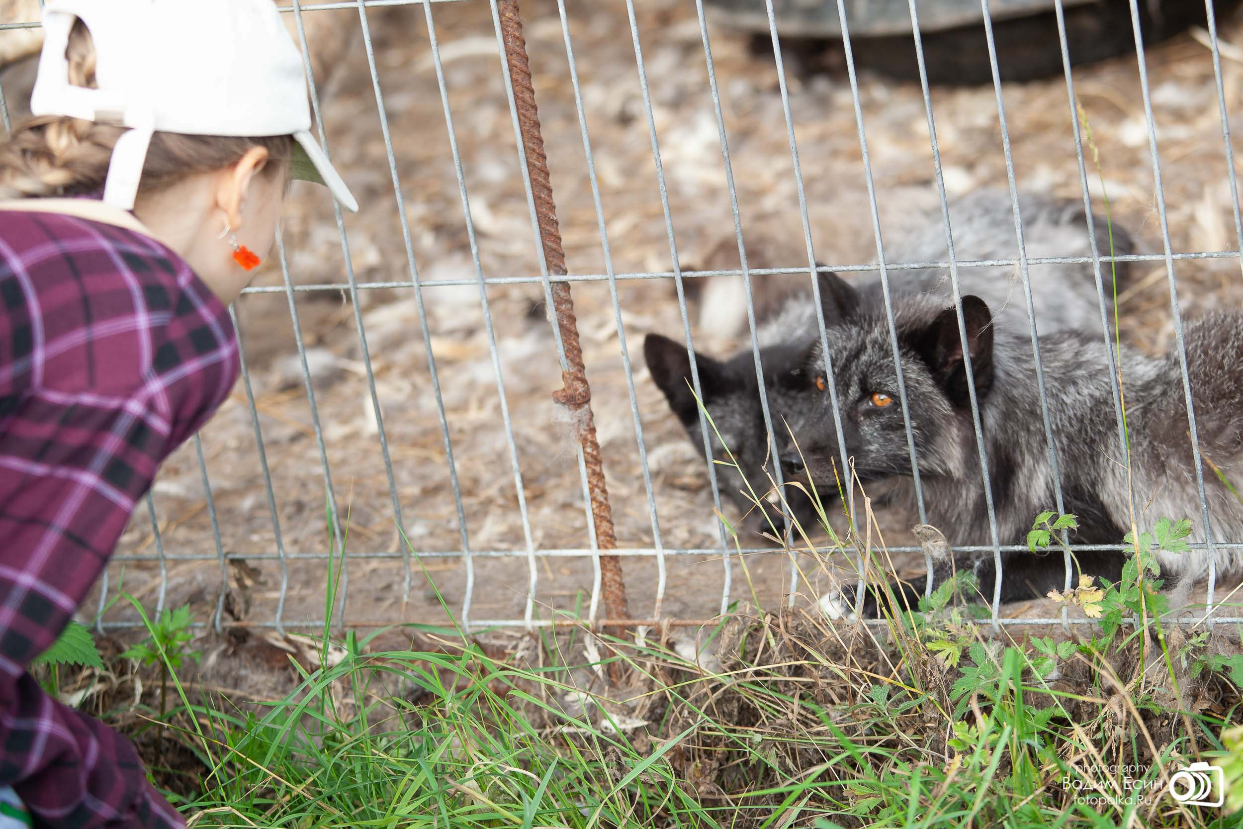 Конный клуб «20-й километр»