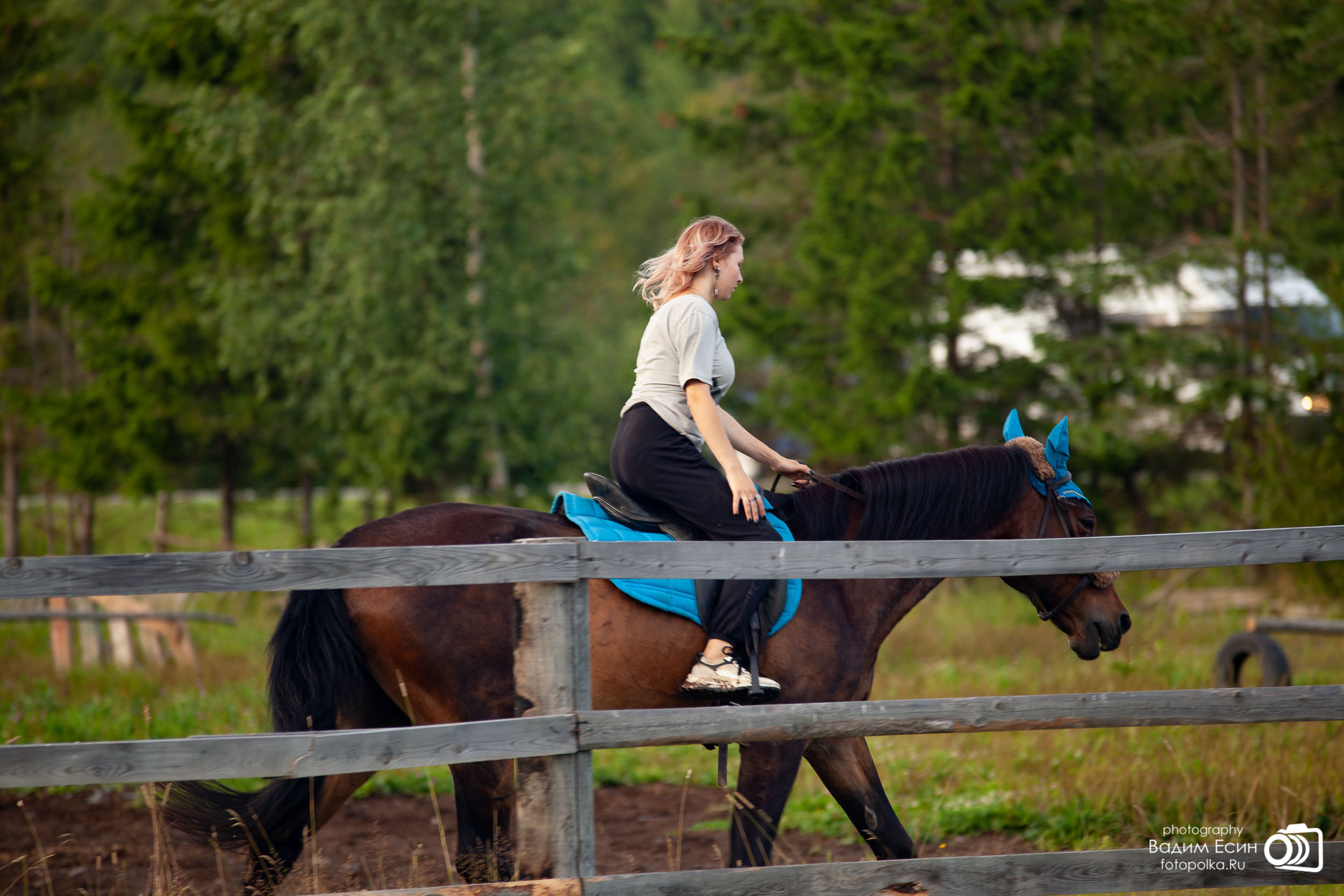 Конный клуб «20-й километр»