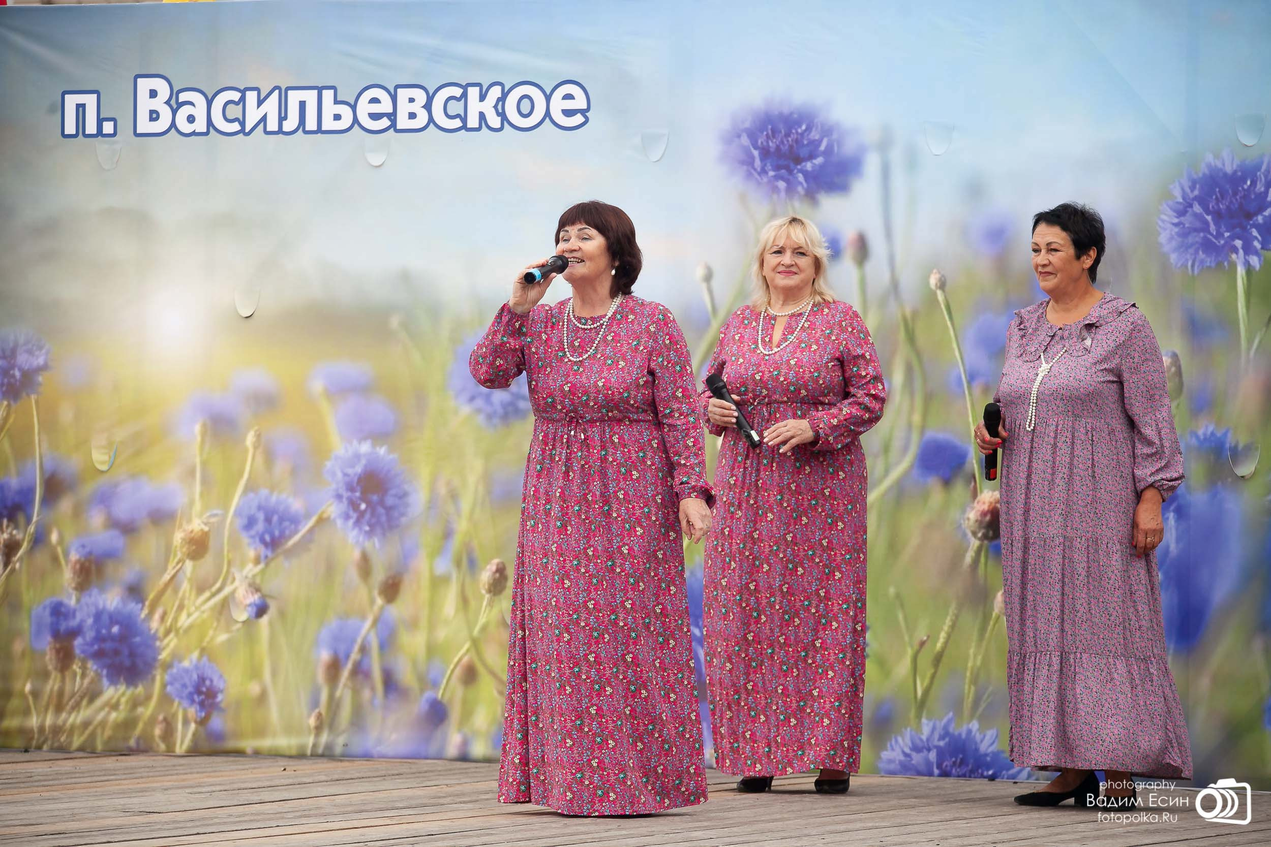 26 августа 2023 День поселка | с. Васильевское