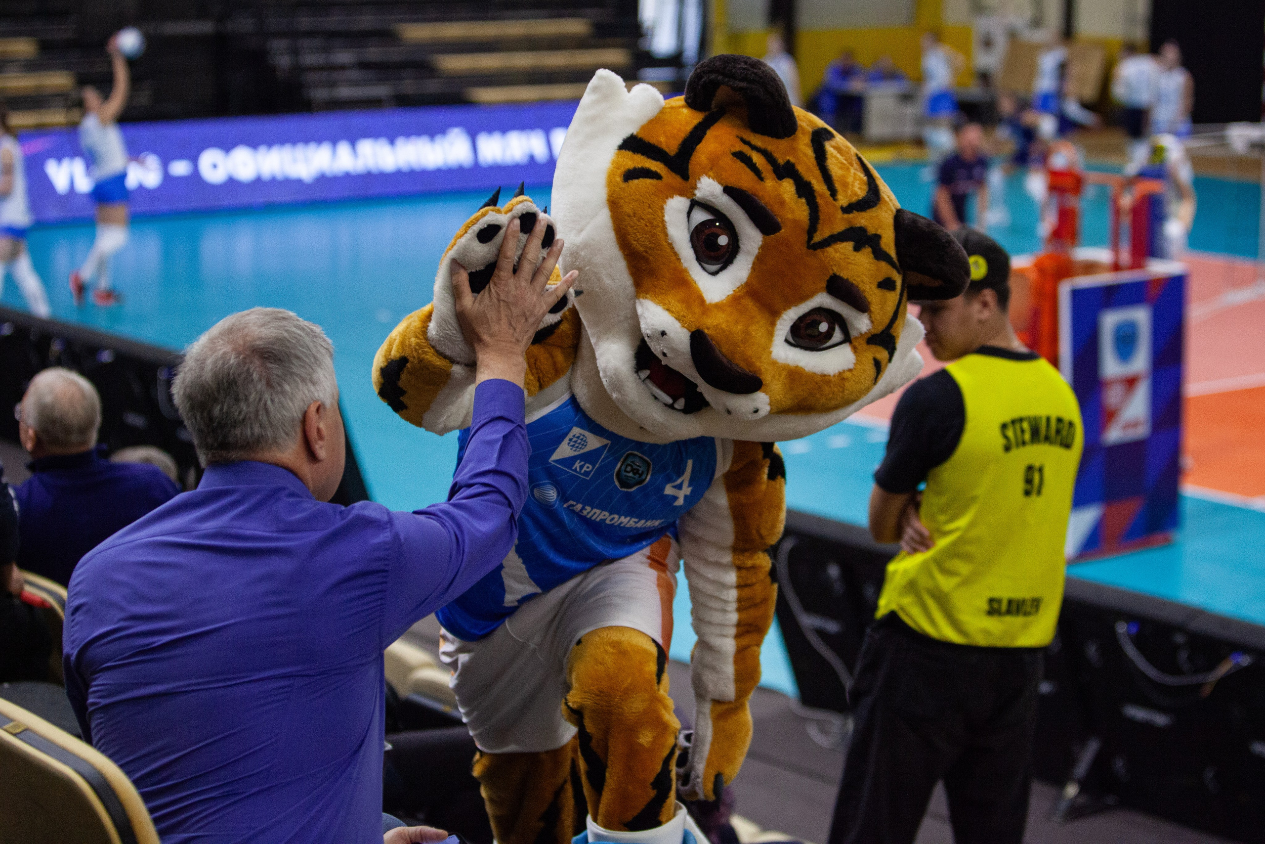 Один день из тура чемпионата России по волейболу. Кутузов Евгений Фотограф в Южно-Сахалинске