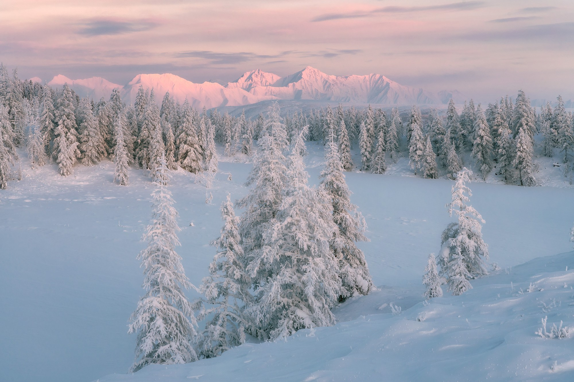 Программа зимней фотоэкспедиции в хребет Улахан-Чистай. Якутия