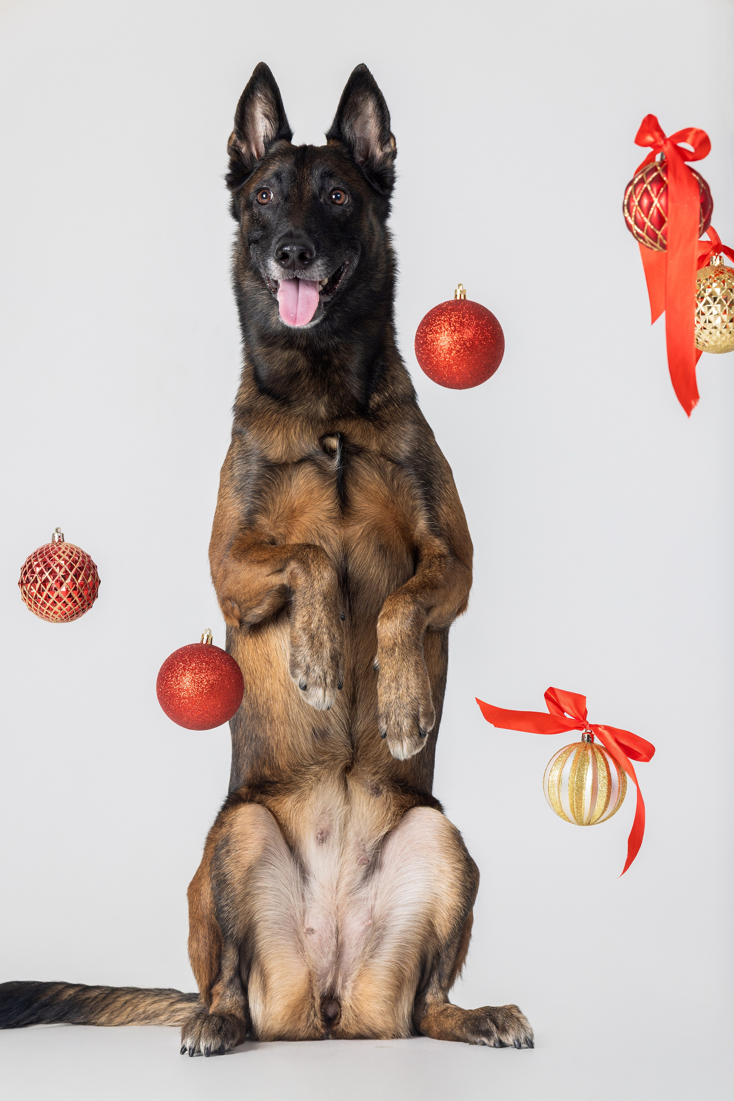 Фотограф Алена Звездина