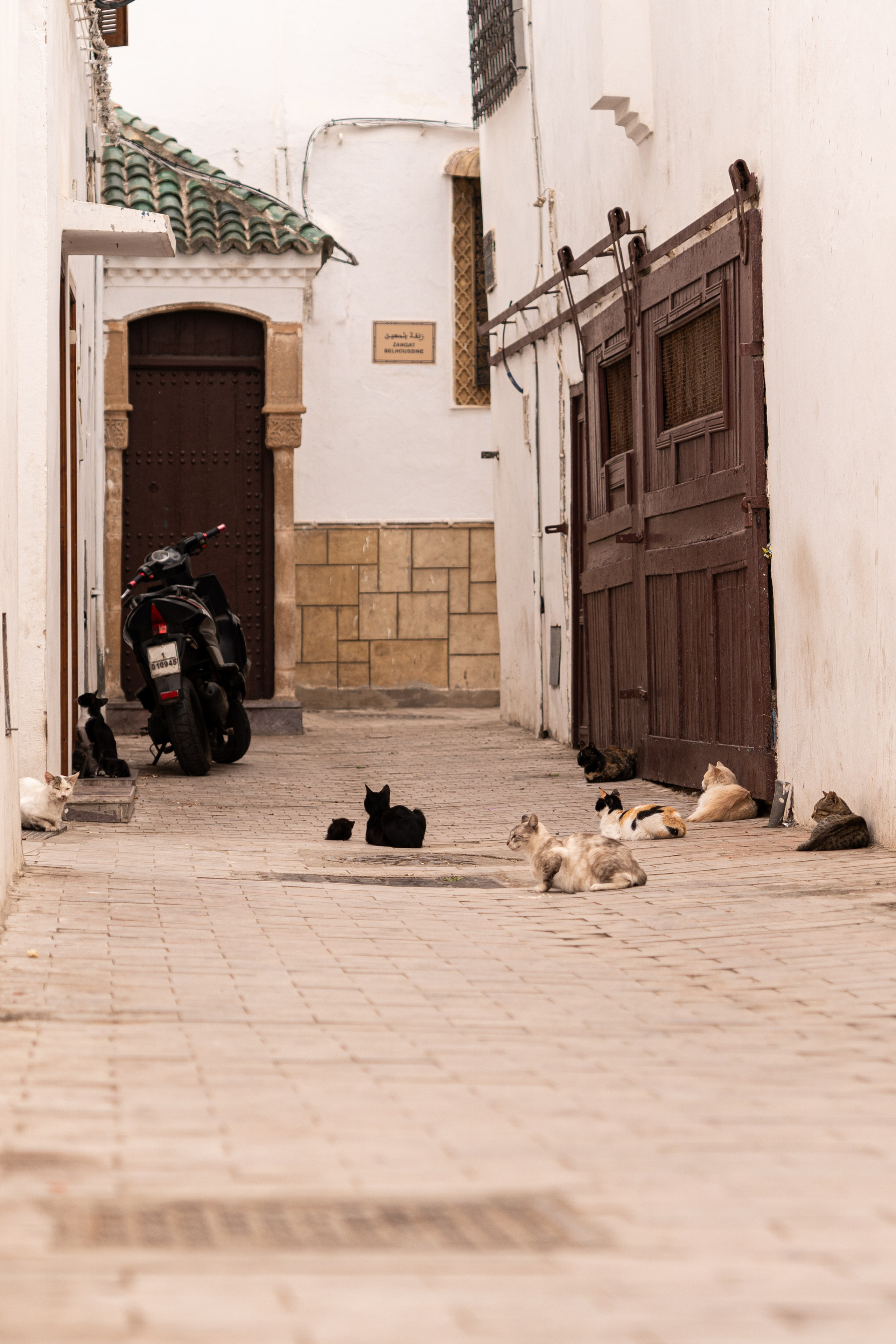 Марокко. Илья Варин — Фотограф Москва, Тверь