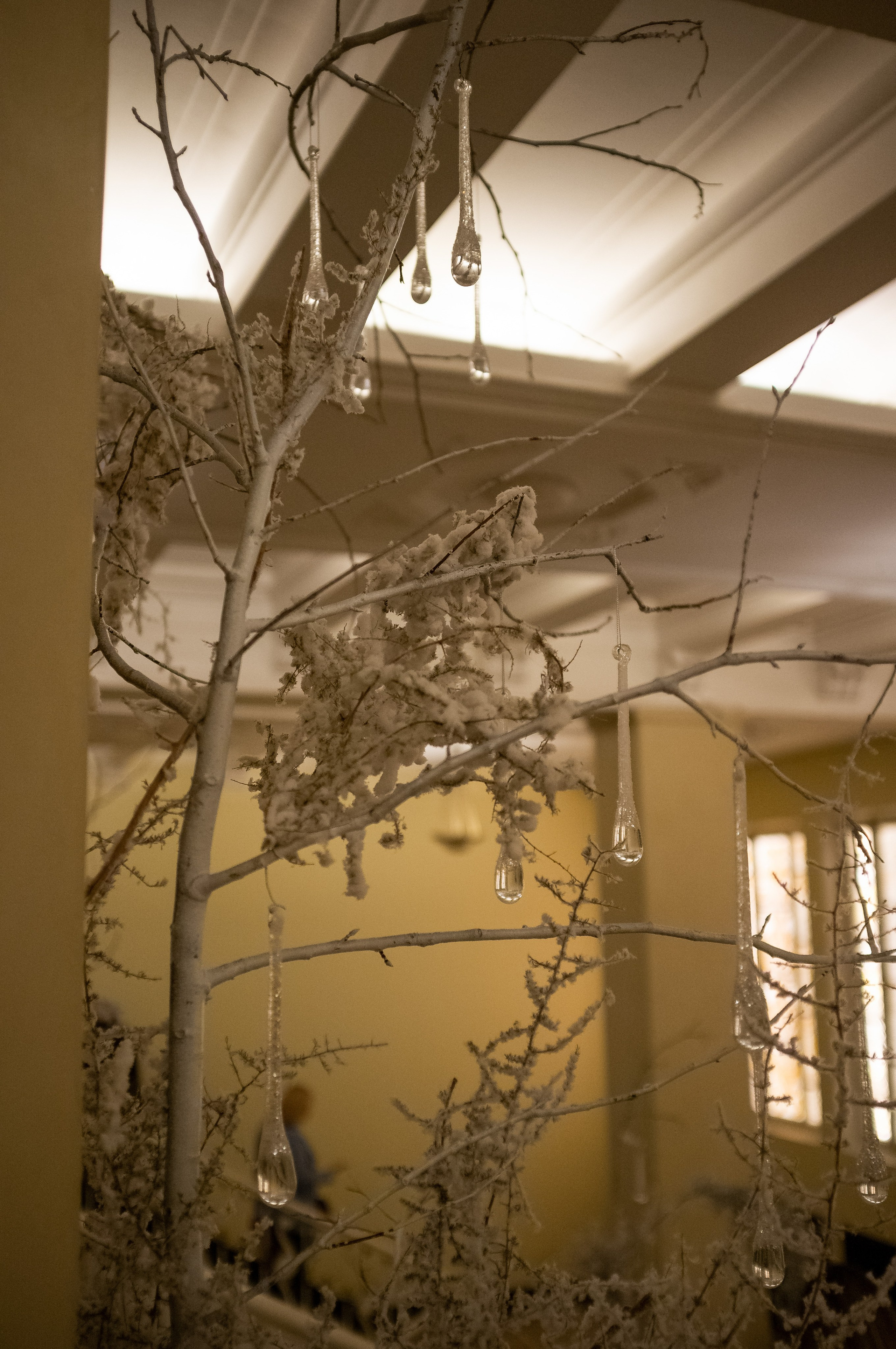 Новогодний вечер. Итальянка в Алжире. Искусство фотографии. Мария Осокина