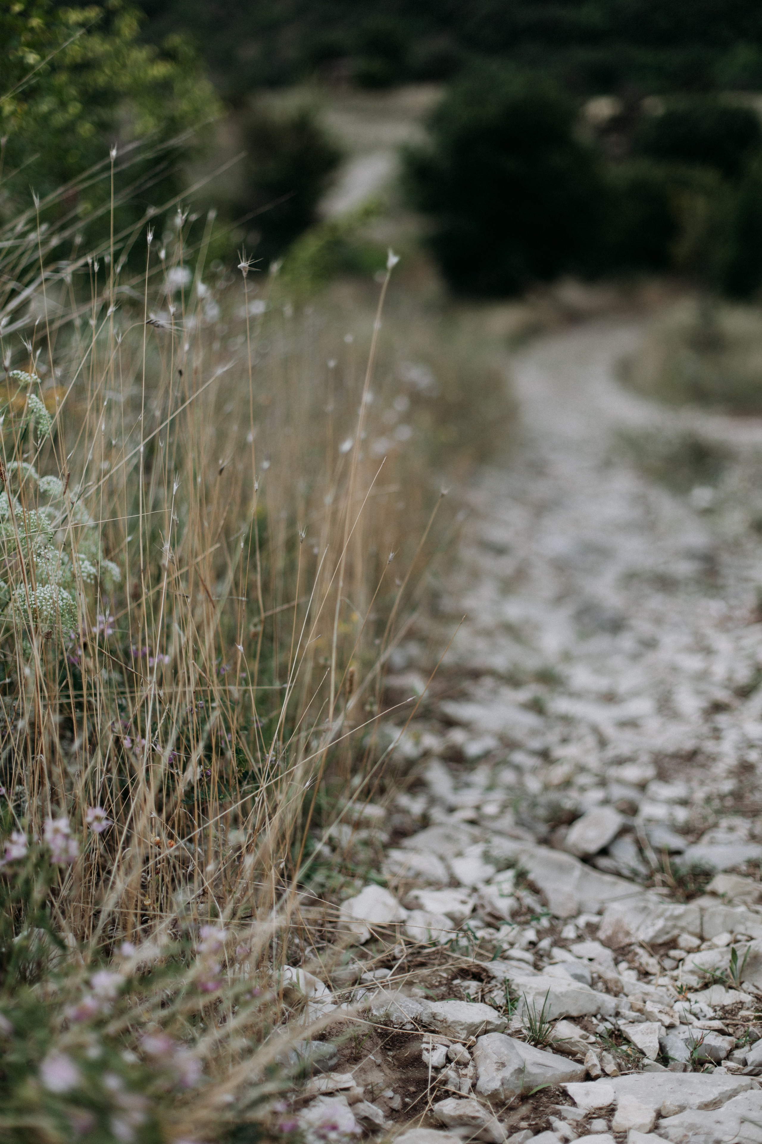 Дороги земли ветров. Портретный фотограф в Москве и Геленджике Кирилл Вахитов