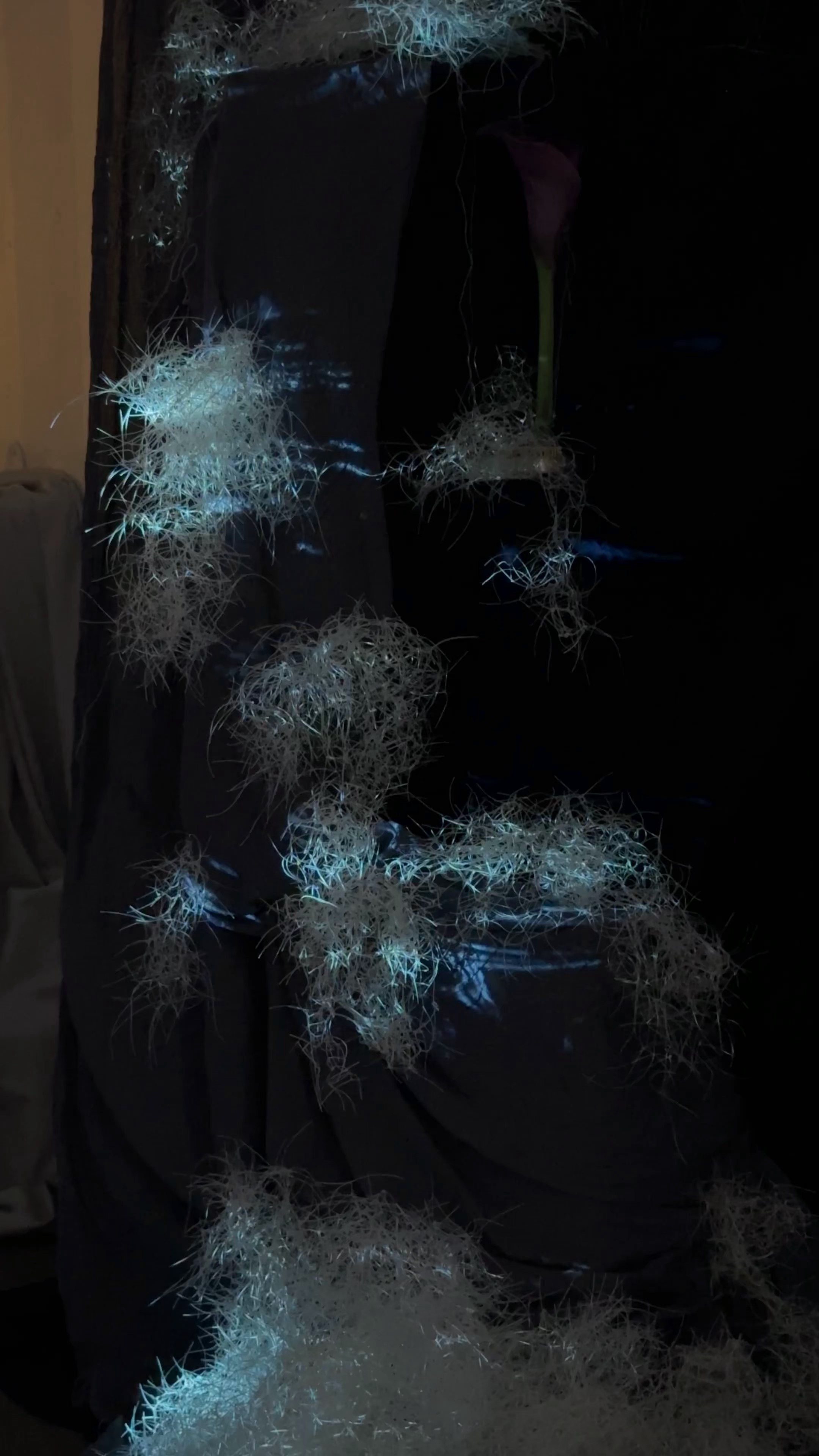 Проекты. Художественная фотография в Санкт-Петербурге Алина Берёзкина