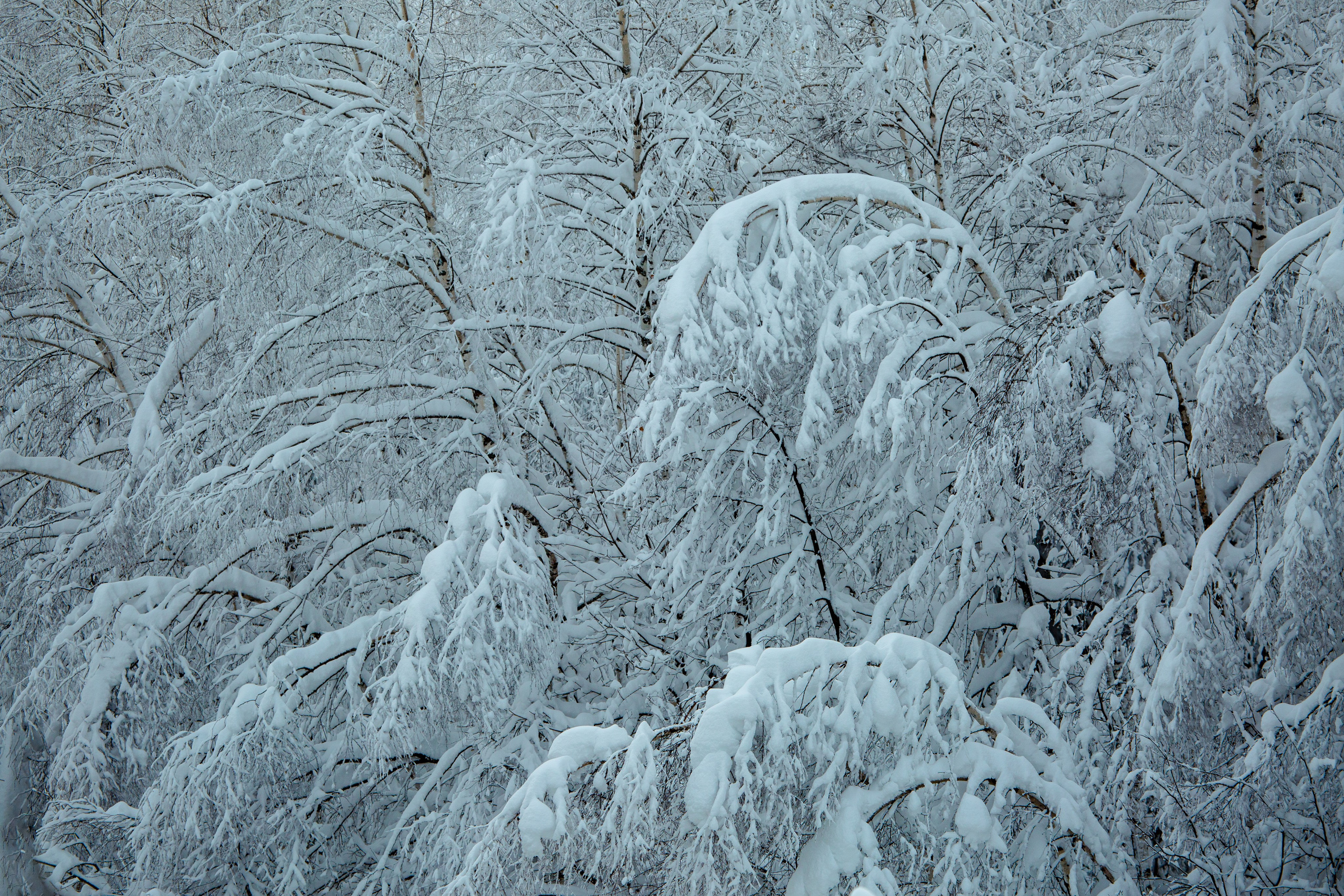 The most beautiful country. Photo competition of the RGO. Photographer Kirill Sergeev | Moscow