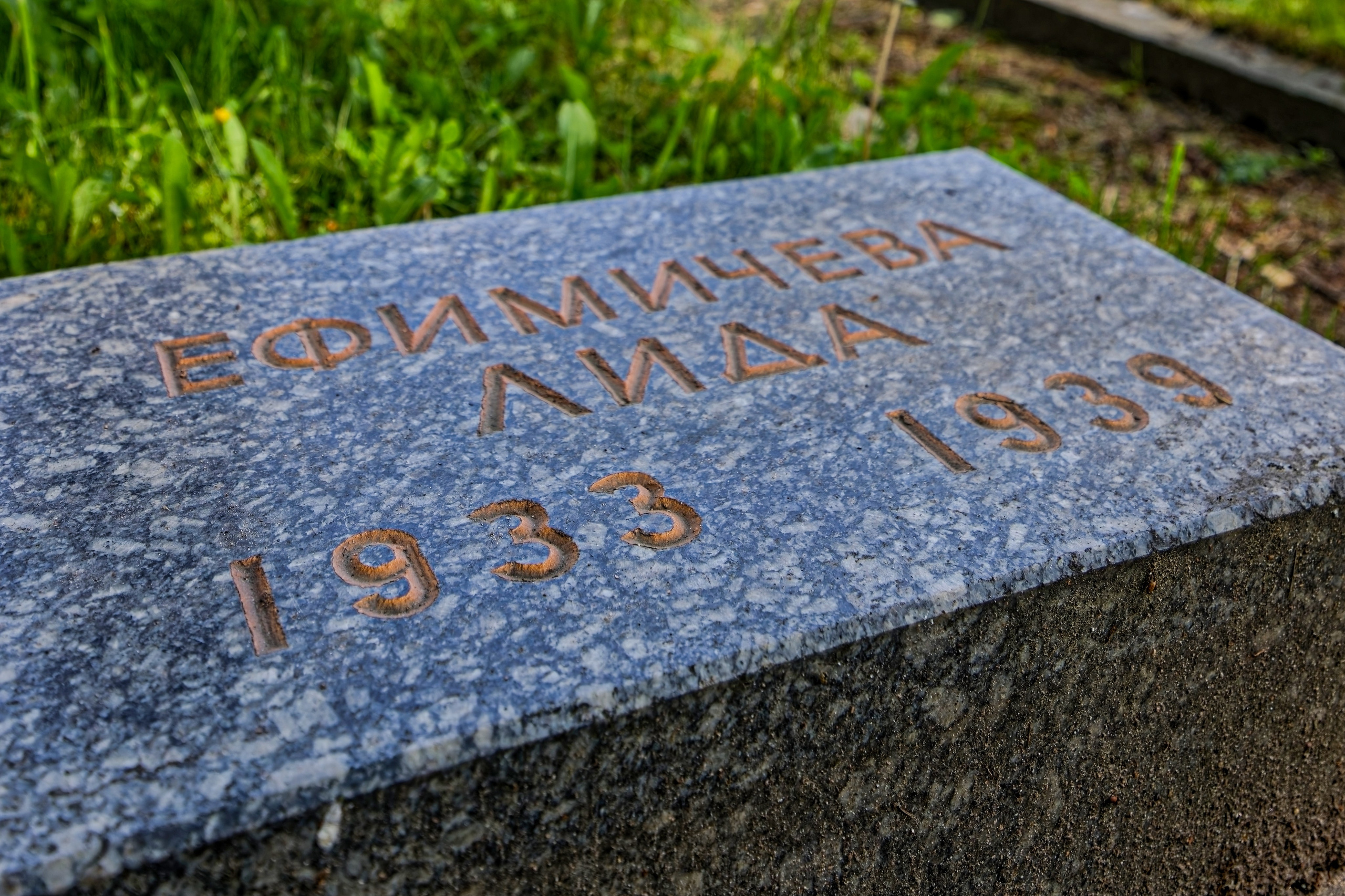 Пискаревское мемПискаревское мемориальное кладбище. Санкт-Петербург, проспект Непокорённых, 72. ориальное кладбище.