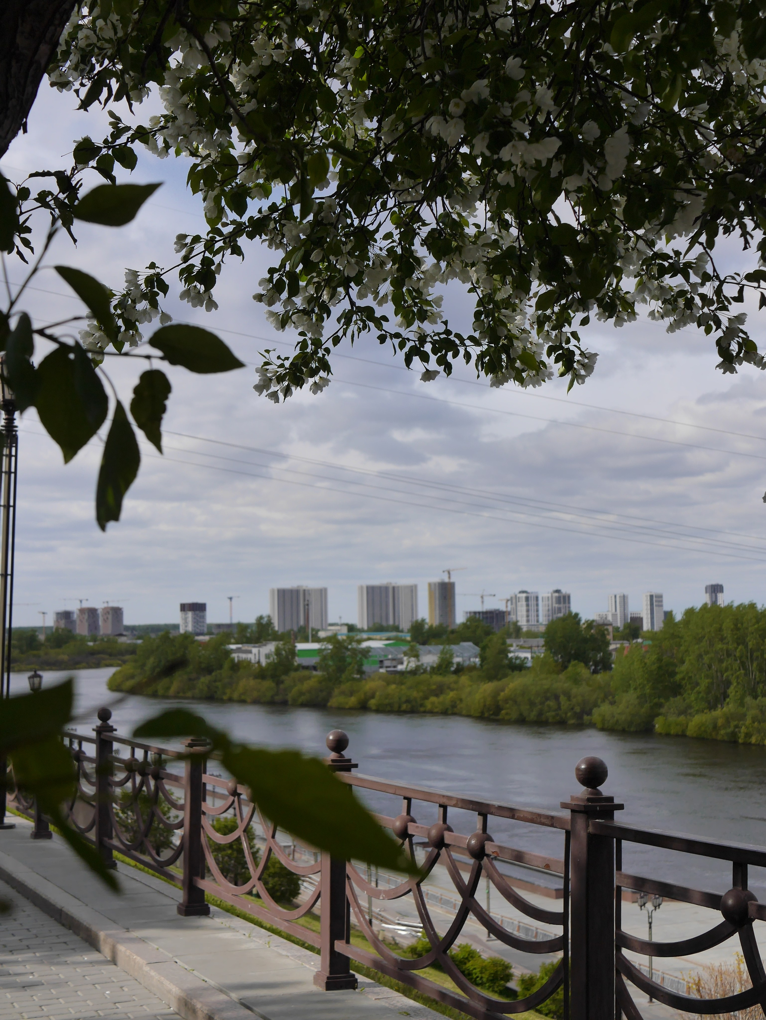 Вся красота мира в одной картинке