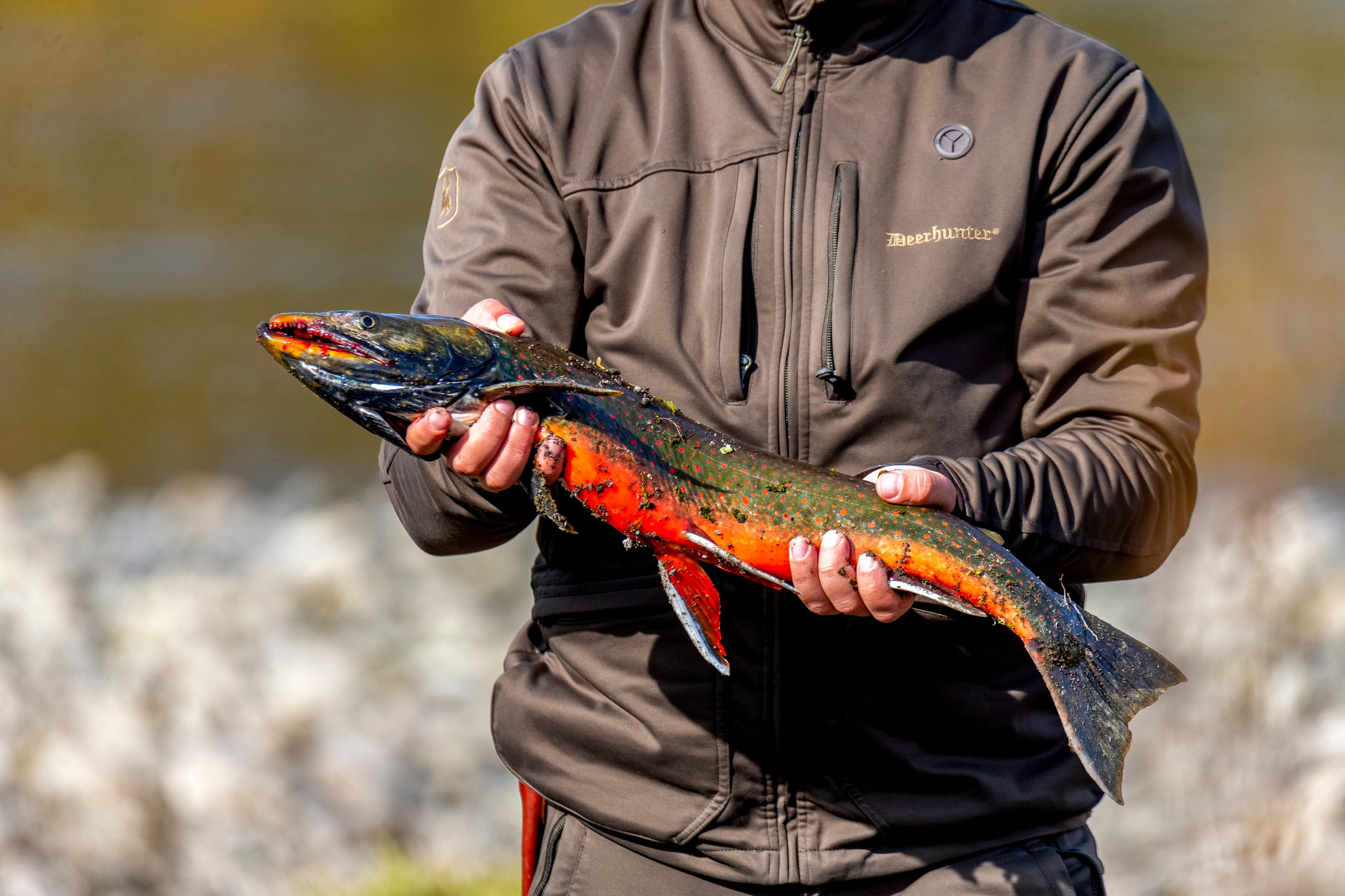 Сплав на рафтах. Время Камчатки: чтобы найти свой путь, нужно скорость умножить на время