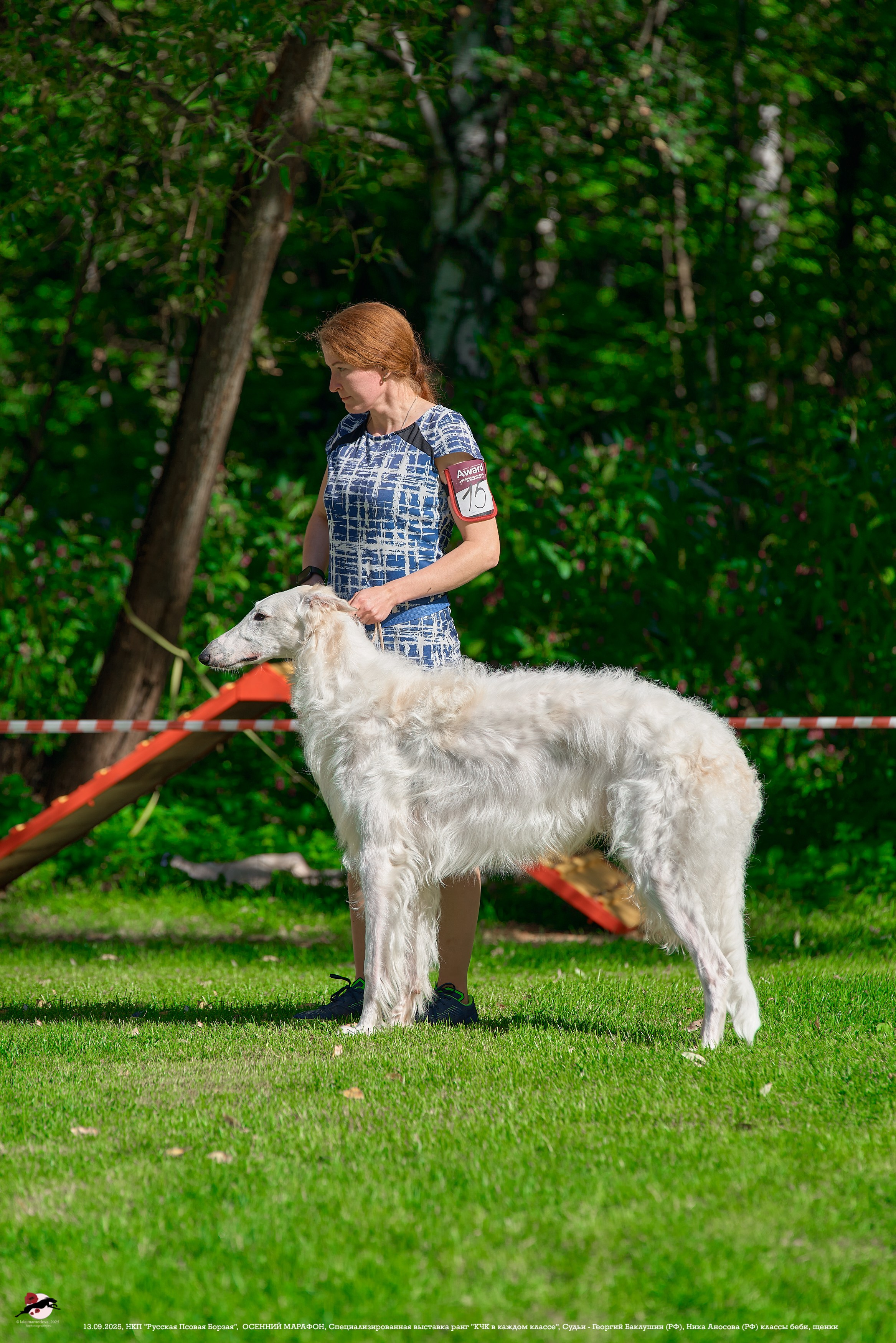 ОСЕННИЙ МАРАФОН | Специализированная выставка породы Русская Псовая Борзая ранг "КЧК в каждом классе"