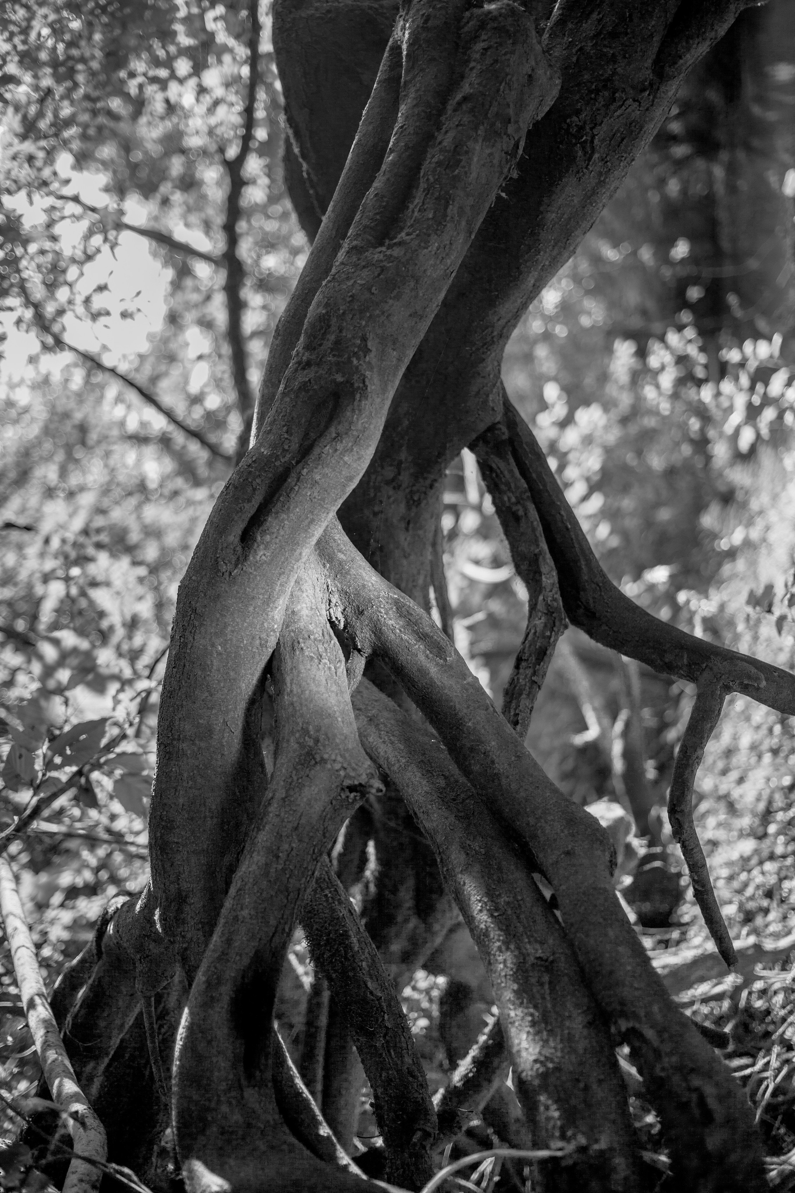 Улицы Люди на улицах Природа Животные — фотограф Оля Волчкова