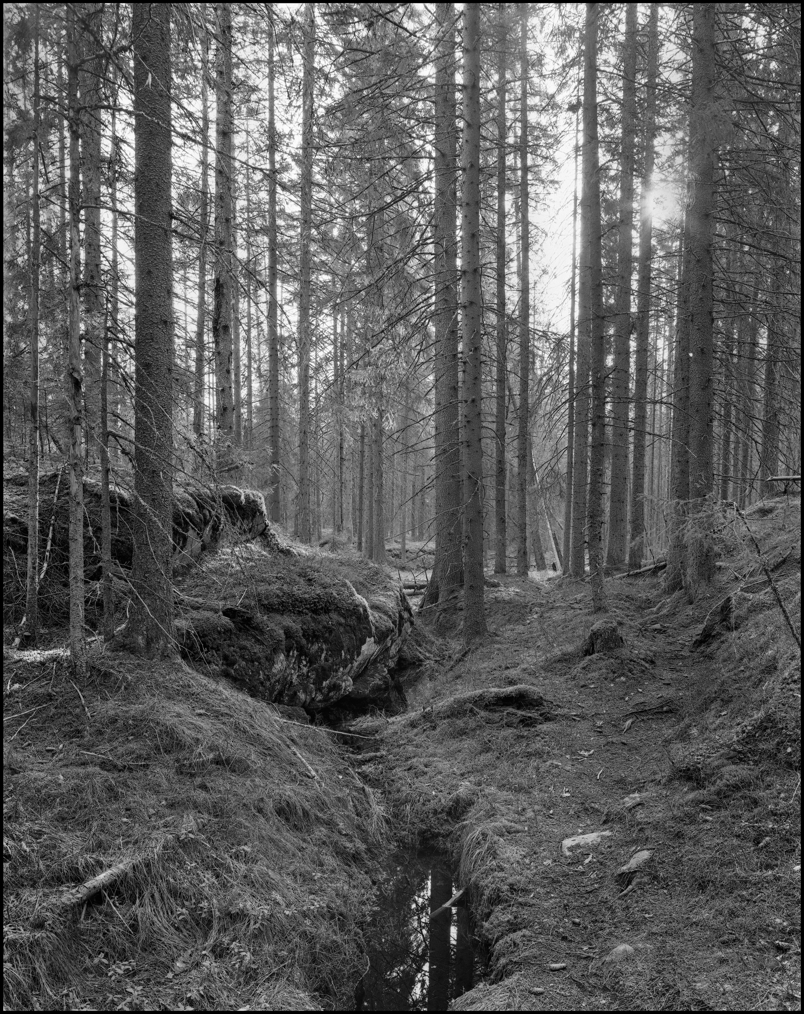 Landscape. Sergey Kondriuk art-photographer | artist