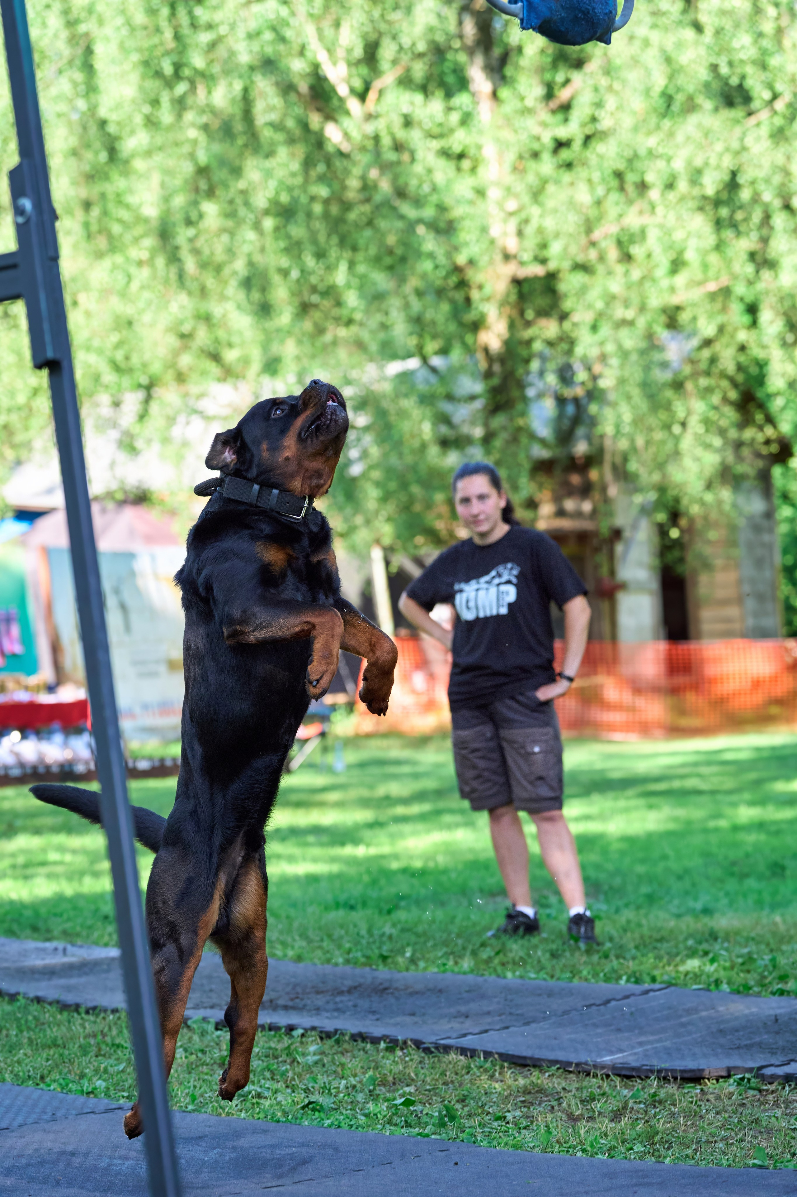 Двухдневные соревнования «Jump'n'Gym Fest — 2024». Фотограф-анималист Михаил Манухин